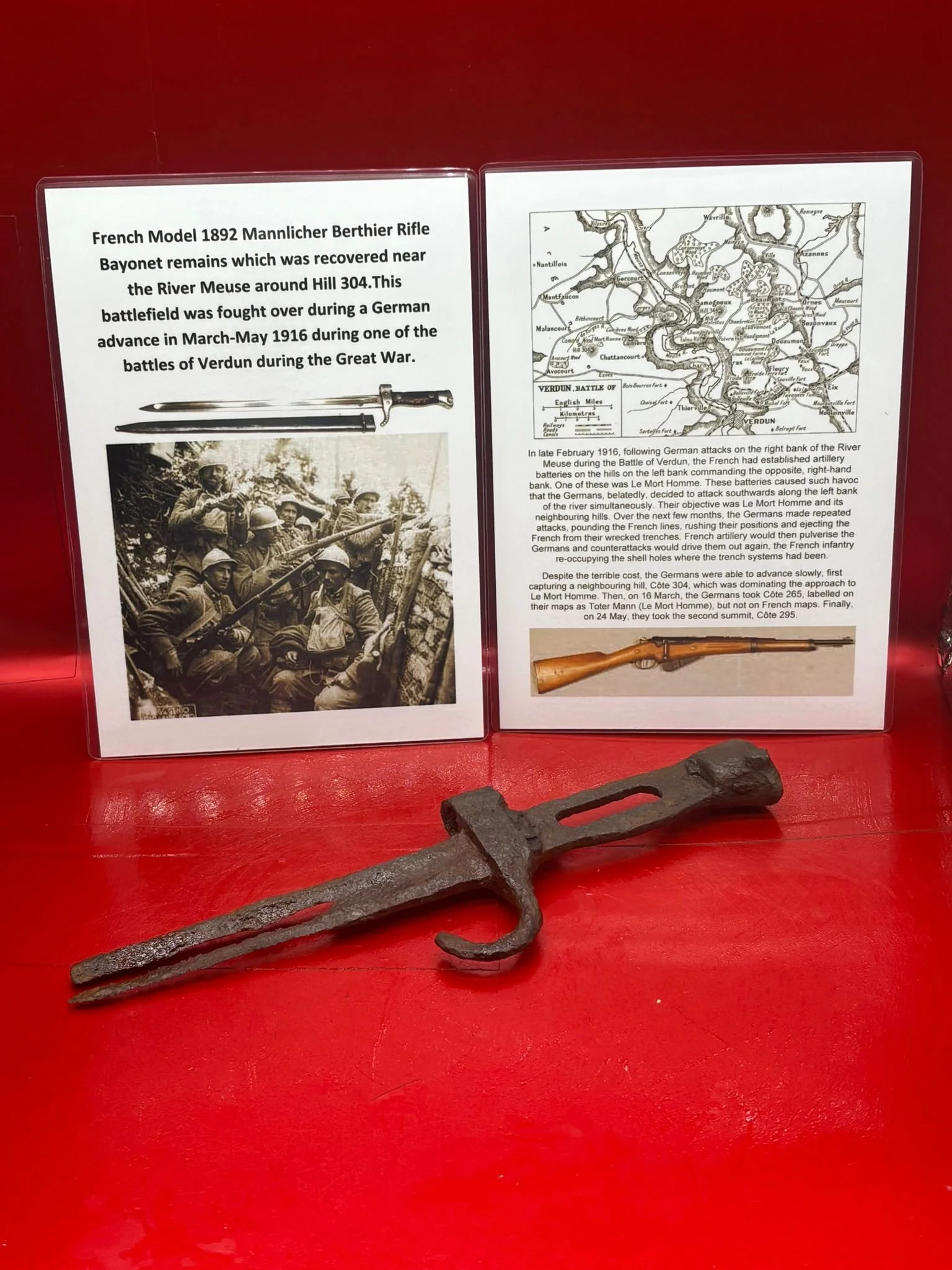 WhatsApp Image 2025-11-16 at 16.05.50.jpeg