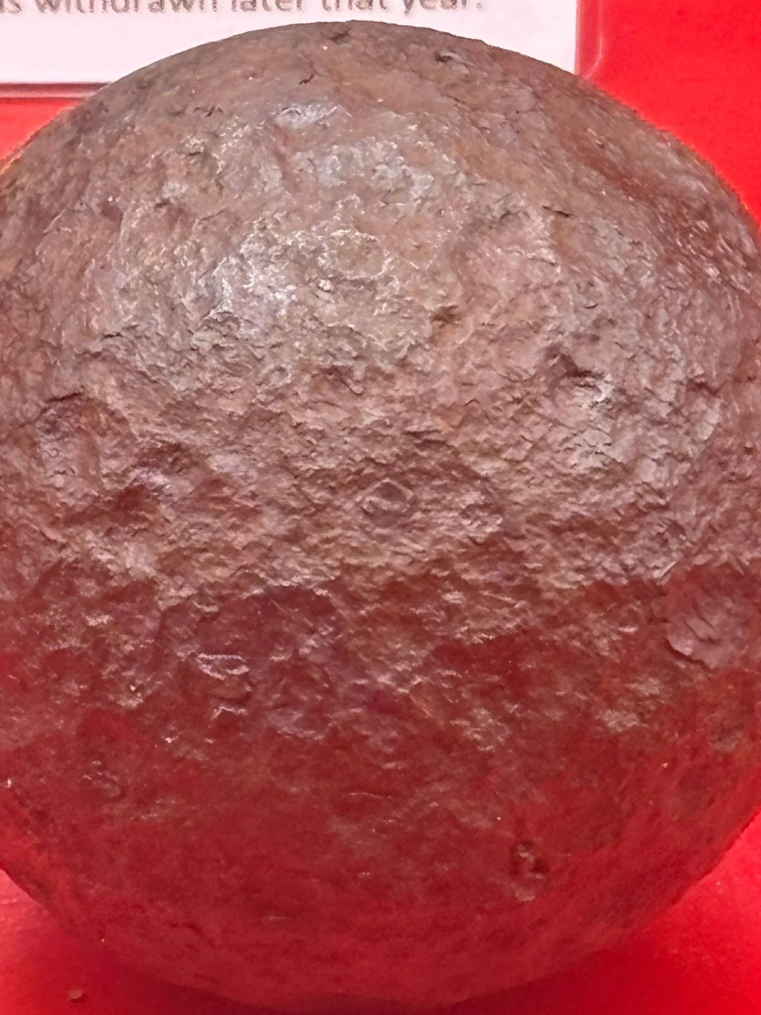 WhatsApp Image 2025-11-16 at 16.10.09 (6).jpeg