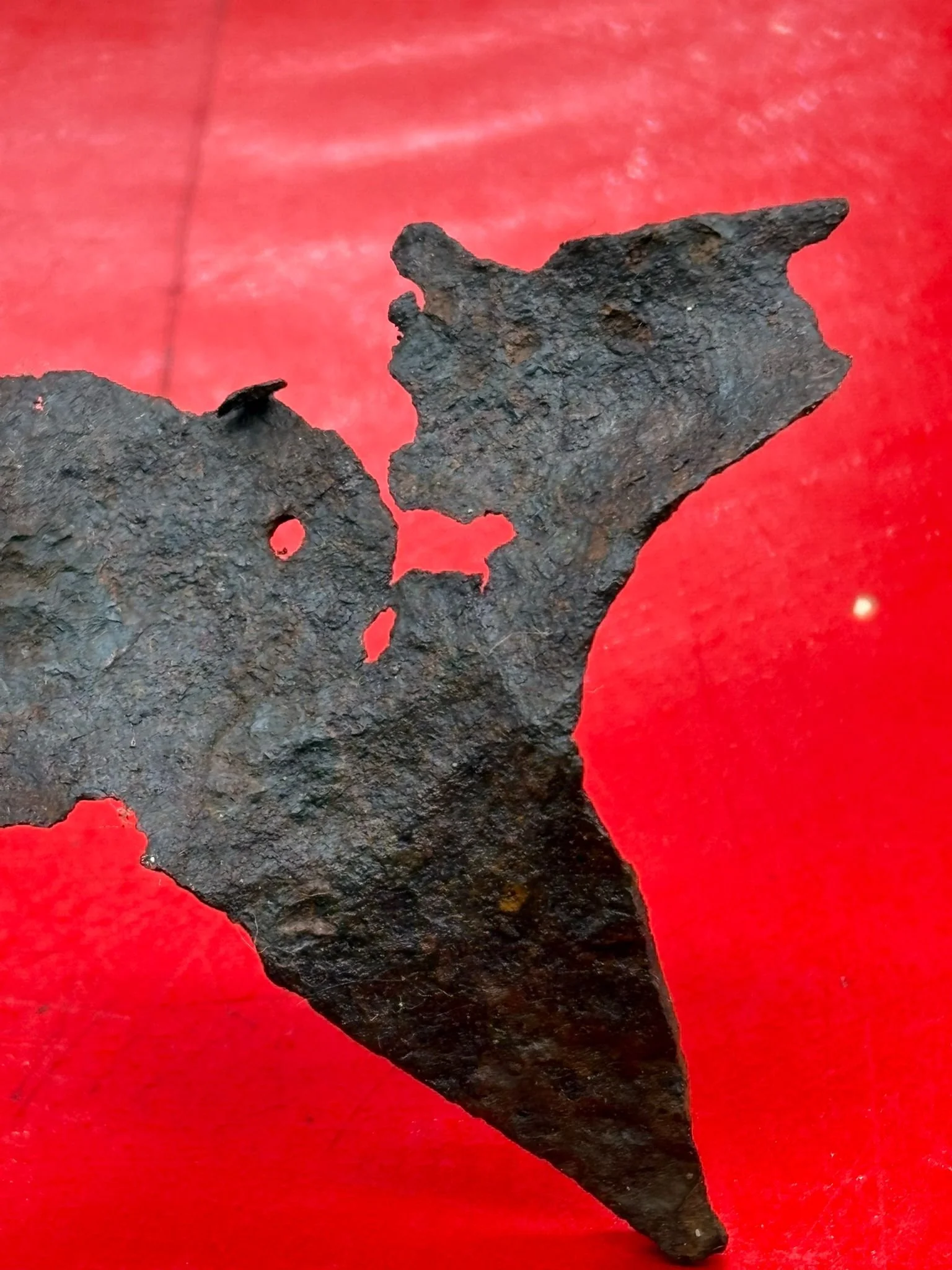 WhatsApp Image 2025-11-12 at 13.14.01 (1).jpeg