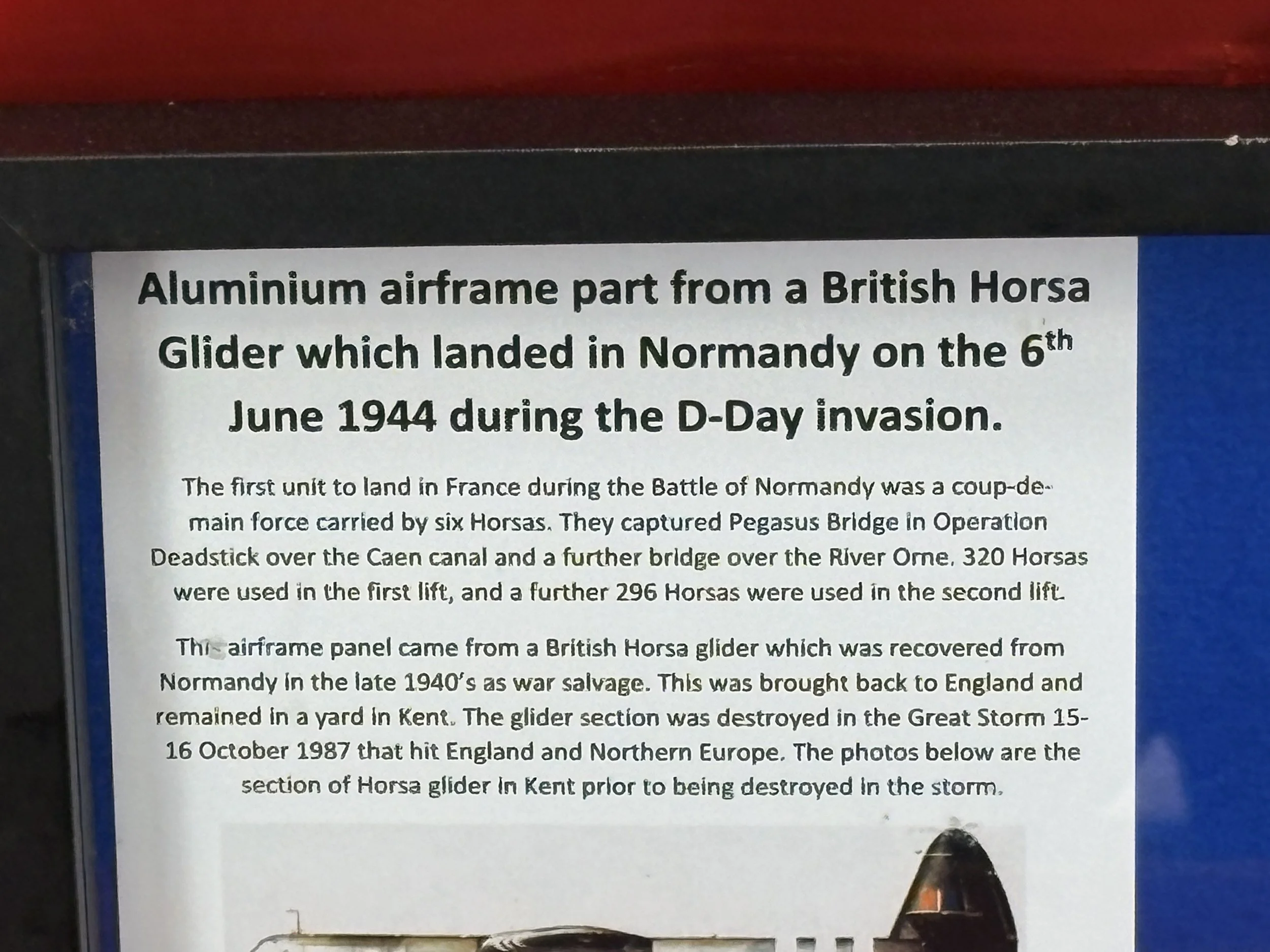 117.JPG