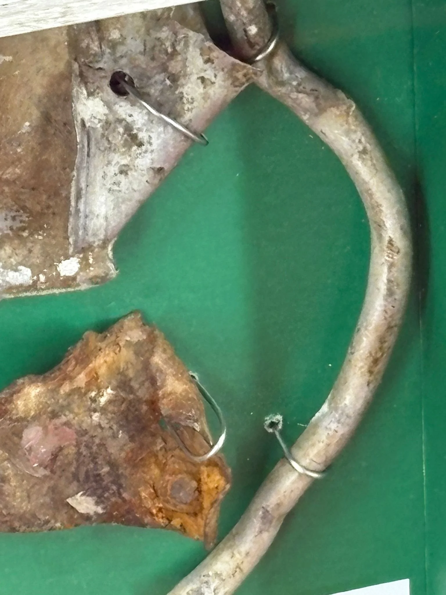 WhatsApp Image 2026-03-11 at 13.01.37 (5).jpeg