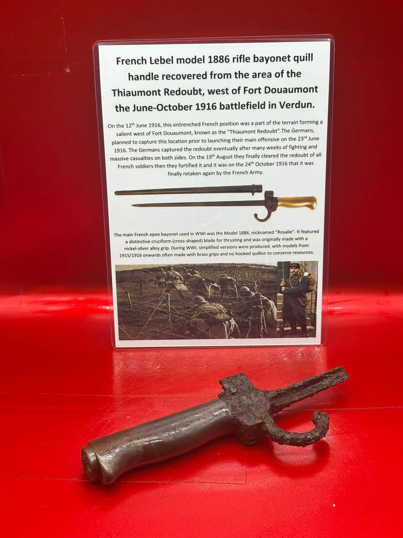 WhatsApp Image 2025-11-16 at 16.05.06.jpeg