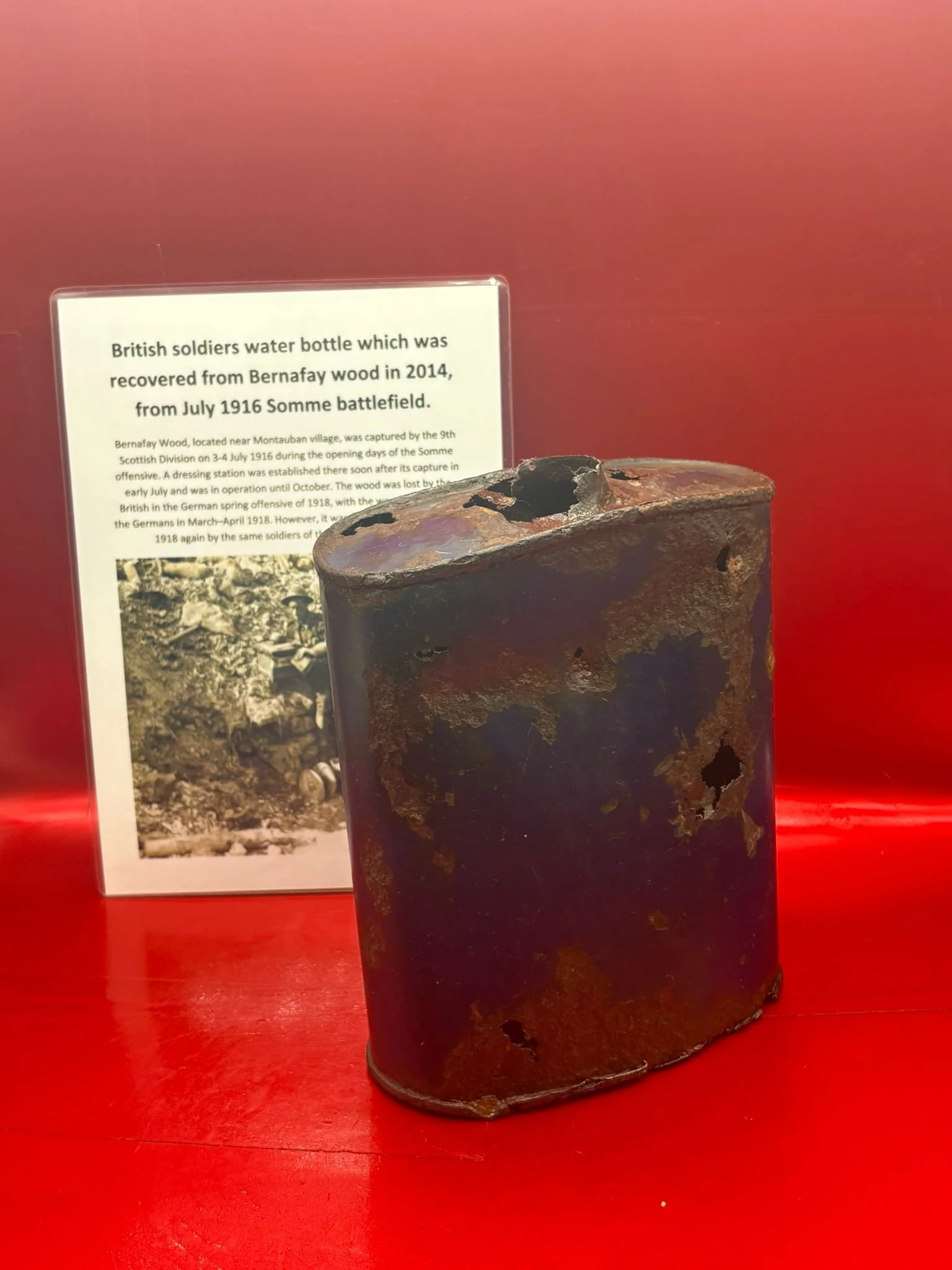 WhatsApp Image 2025-11-11 at 10.18.18 (1).jpeg