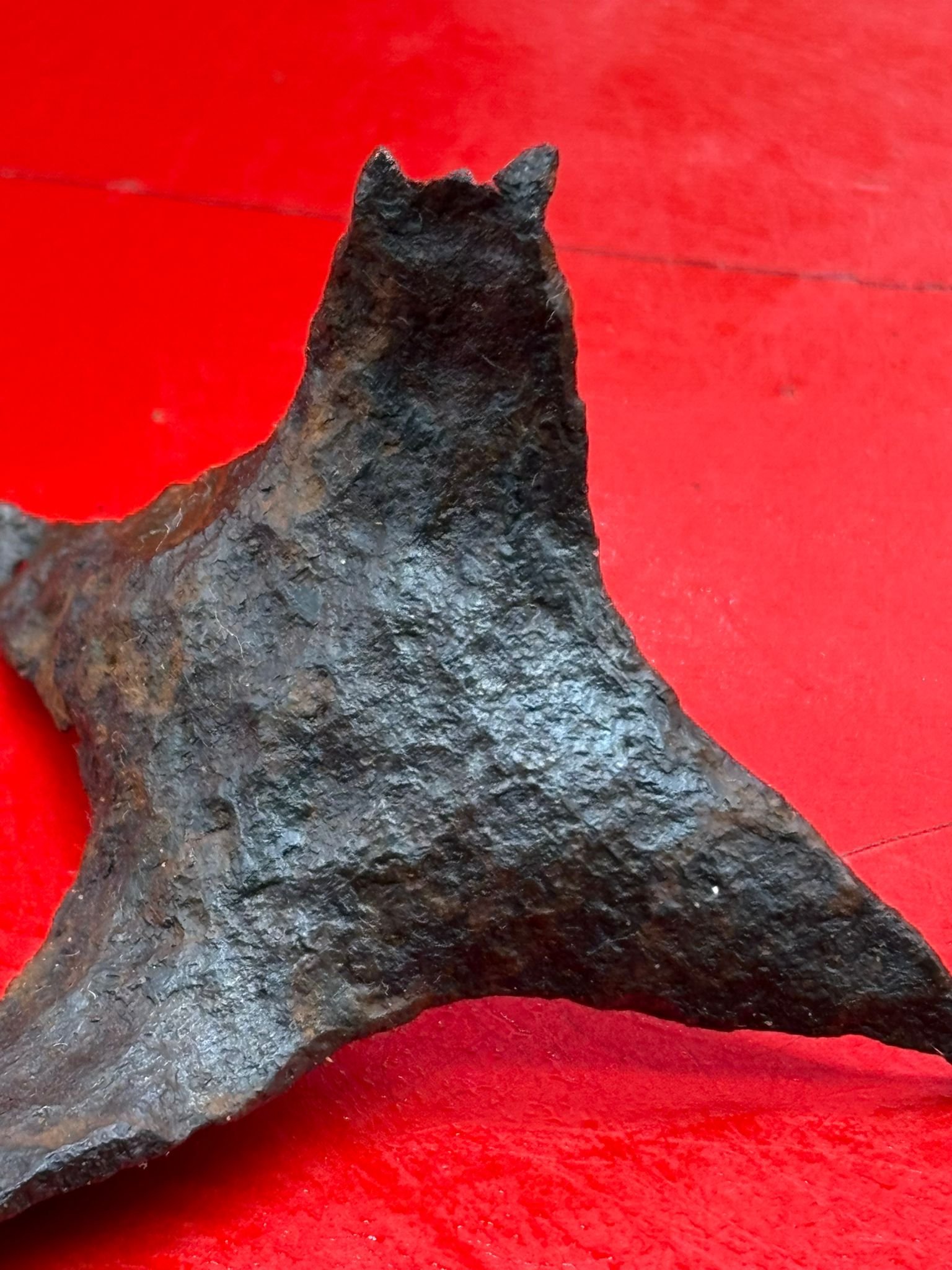 WhatsApp Image 2025-11-12 at 13.14.39 (3).jpeg