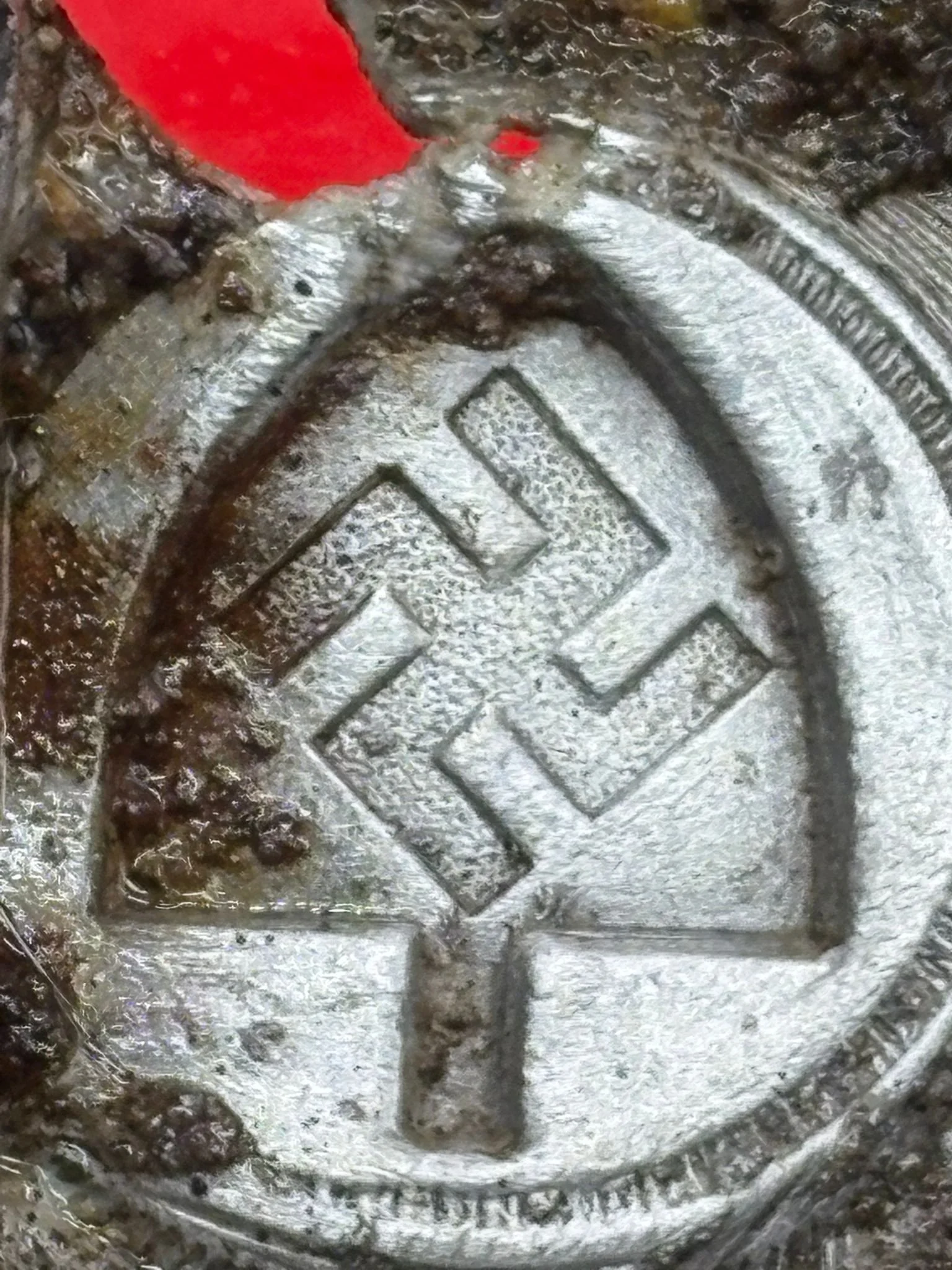 WhatsApp Image 2025-11-24 at 12.47.27.jpeg