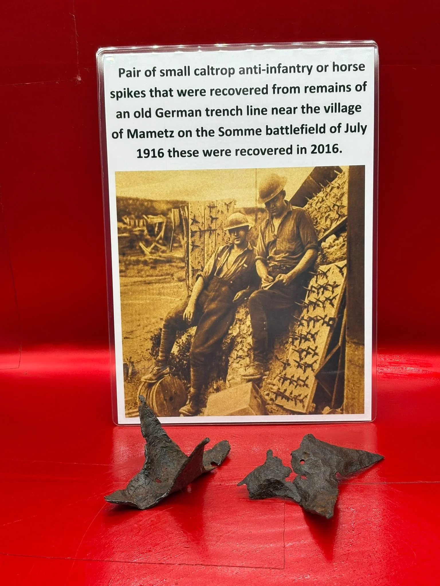 WhatsApp Image 2025-11-12 at 13.14.00.jpeg