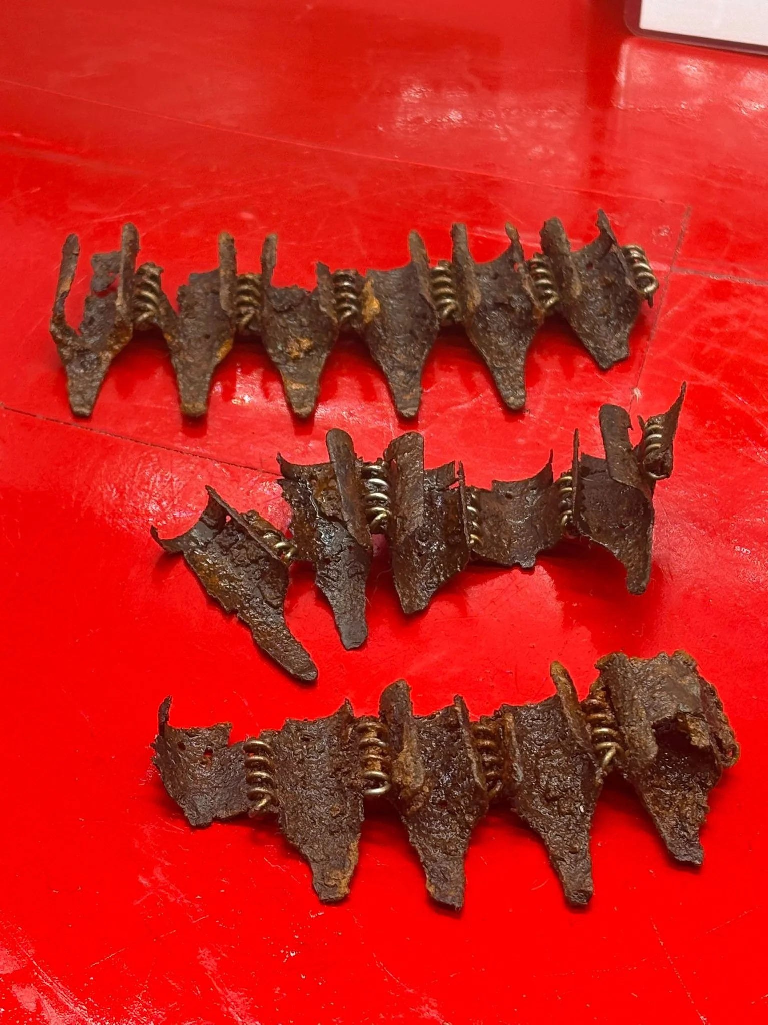 WhatsApp Image 2025-11-20 at 18.56.12 (1).jpeg