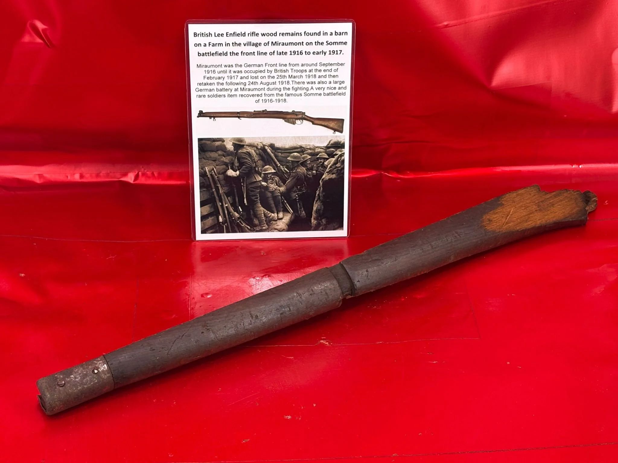 WhatsApp Image 2025-11-16 at 15.05.20 (2).jpeg