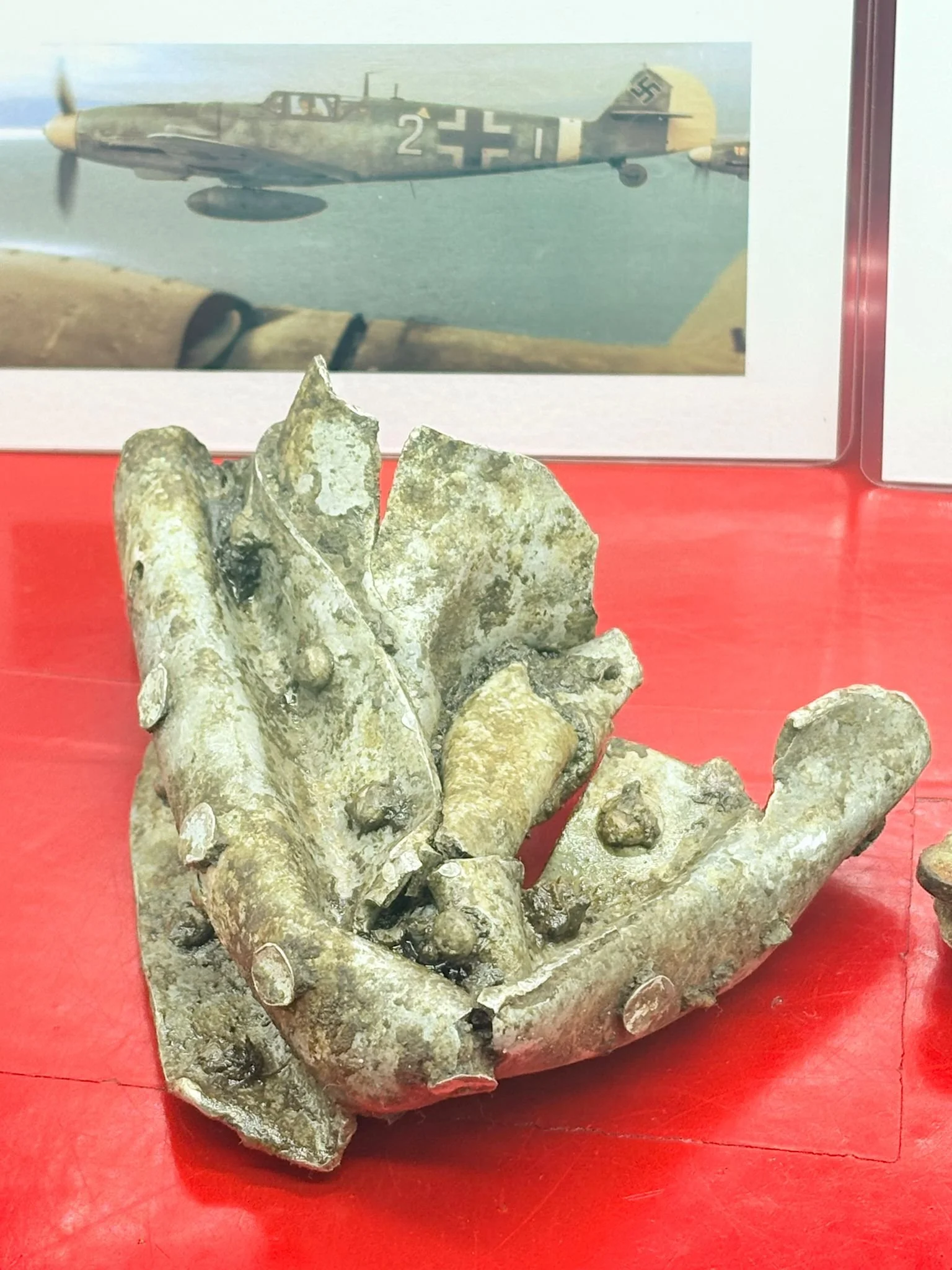 WhatsApp Image 2025-12-08 at 15.42.51 (2).jpeg