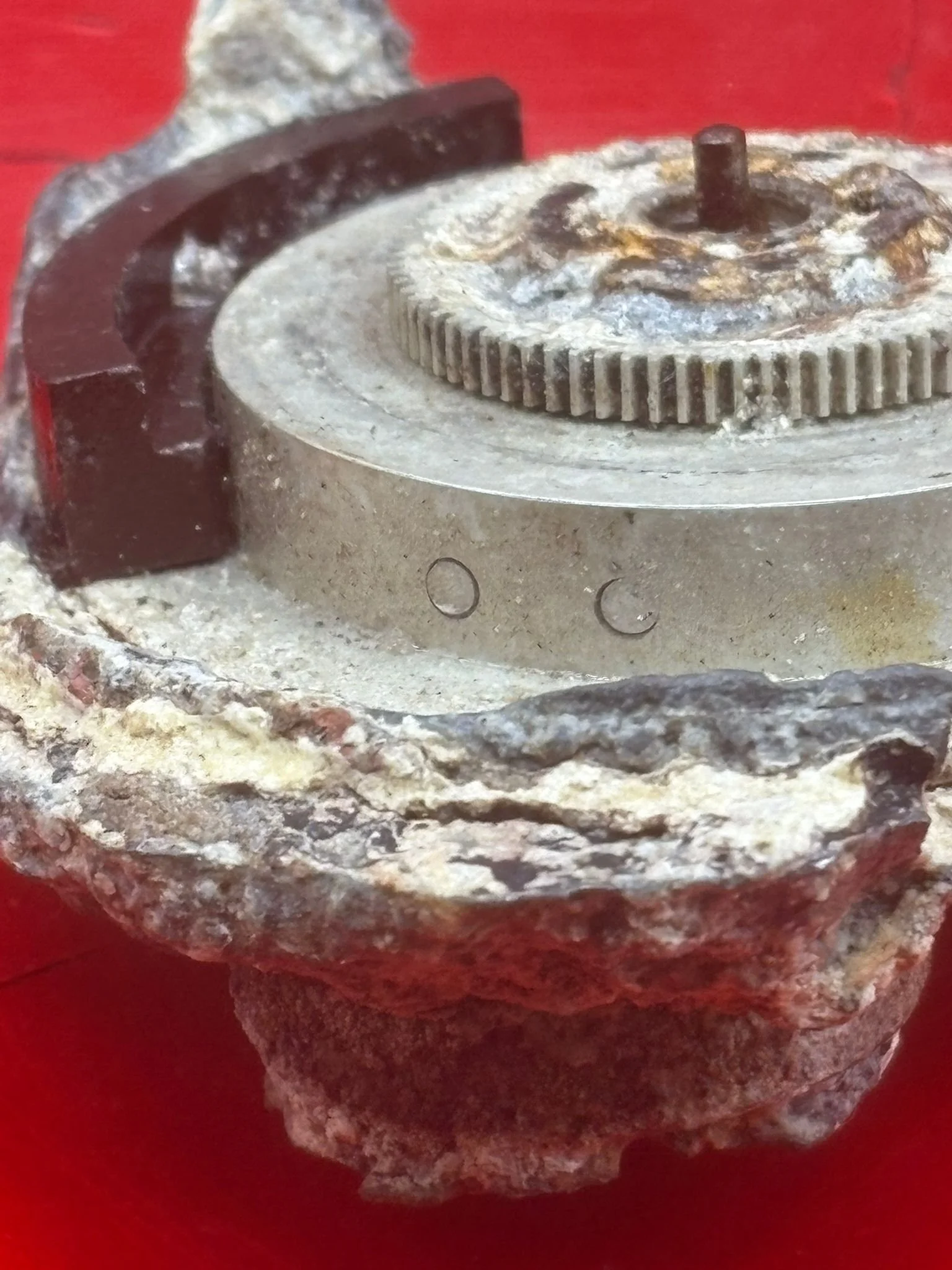 WhatsApp Image 2026-02-13 at 16.21.51 (6).jpeg