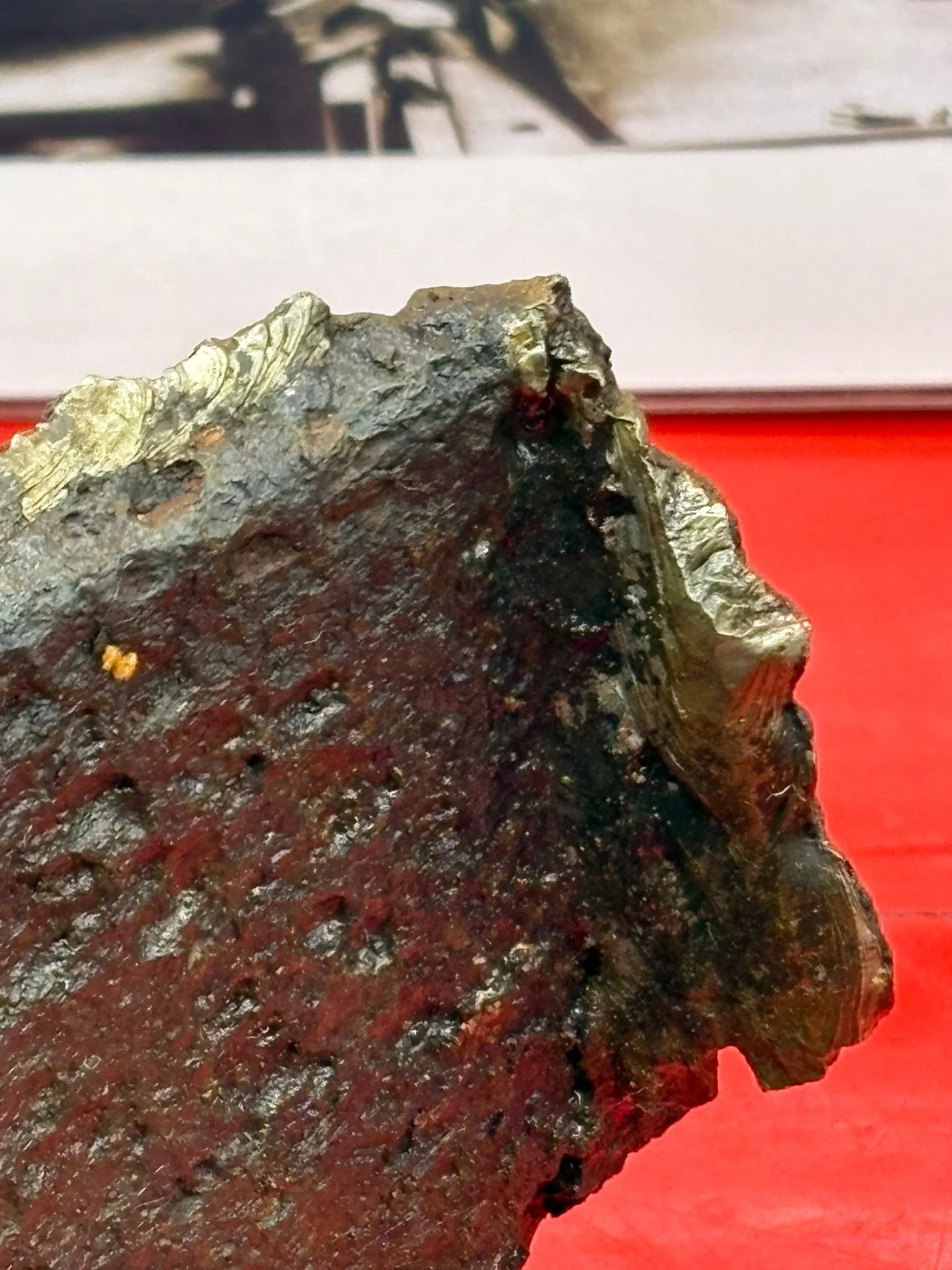 WhatsApp Image 2025-11-24 at 16.54.47.jpeg