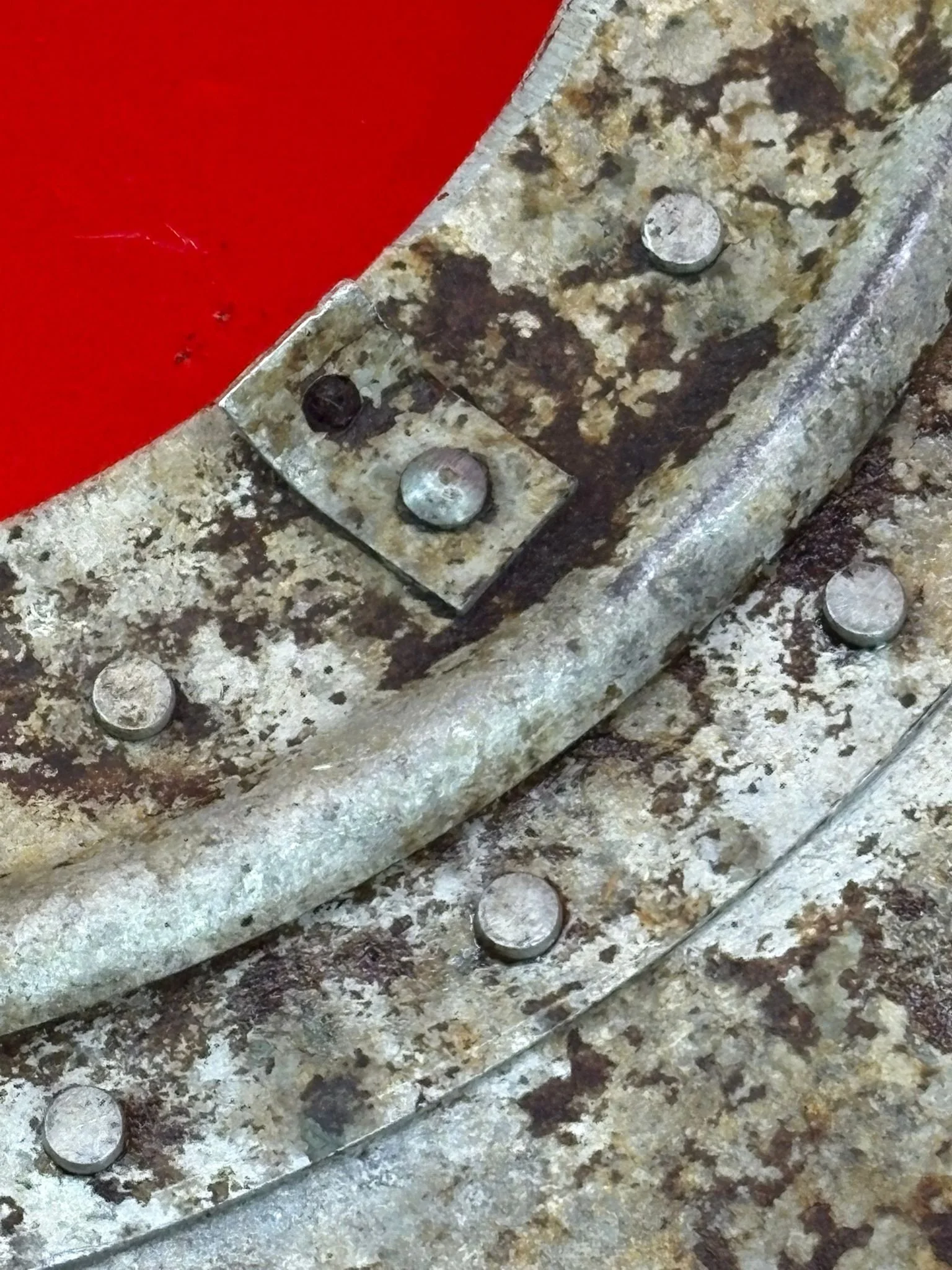 WhatsApp Image 2026-02-10 at 11.48.33 (5).jpeg