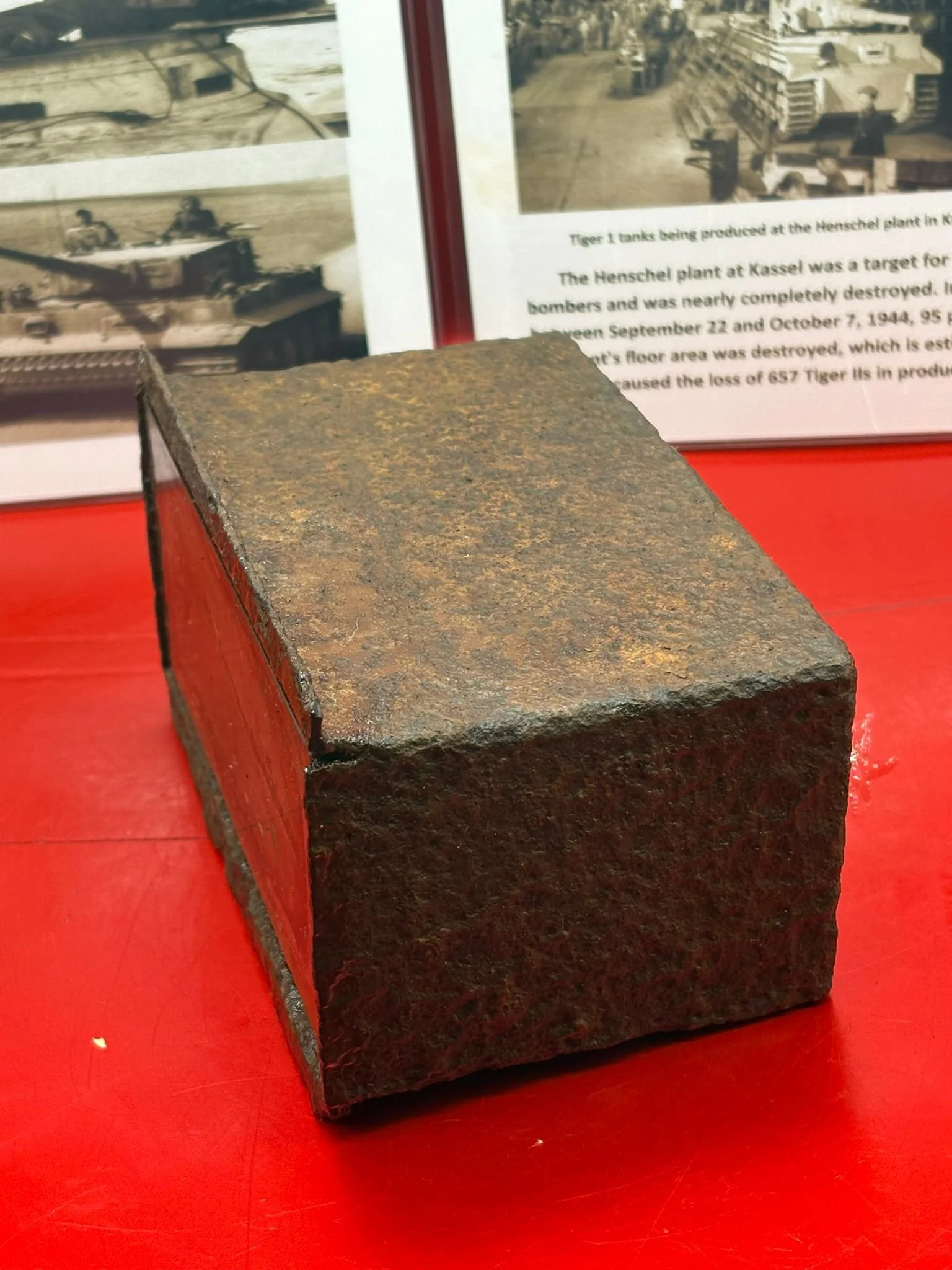 WhatsApp Image 2025-11-24 at 17.05.31.jpeg