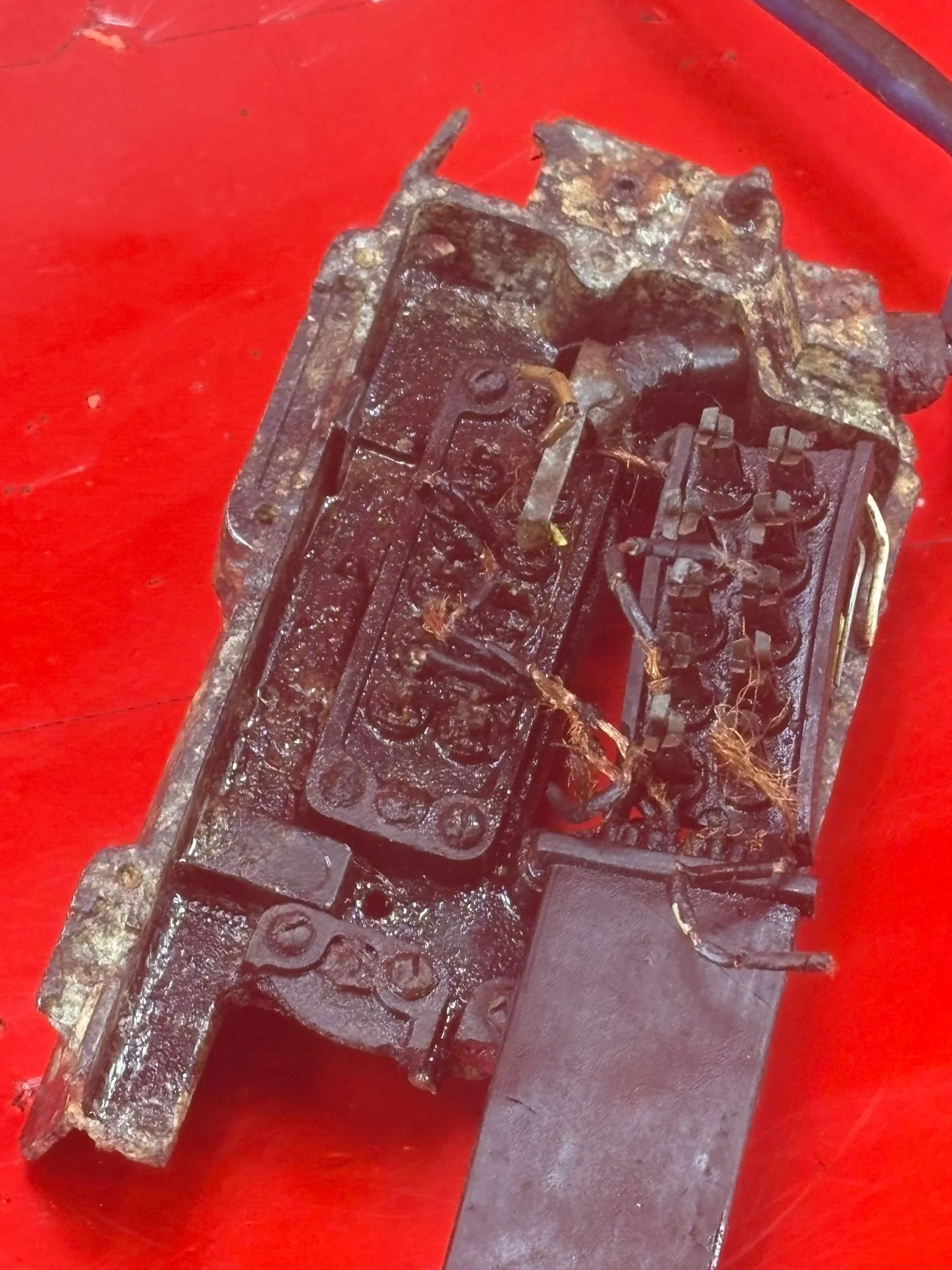 WhatsApp Image 2026-02-13 at 16.27.09 (1).jpeg