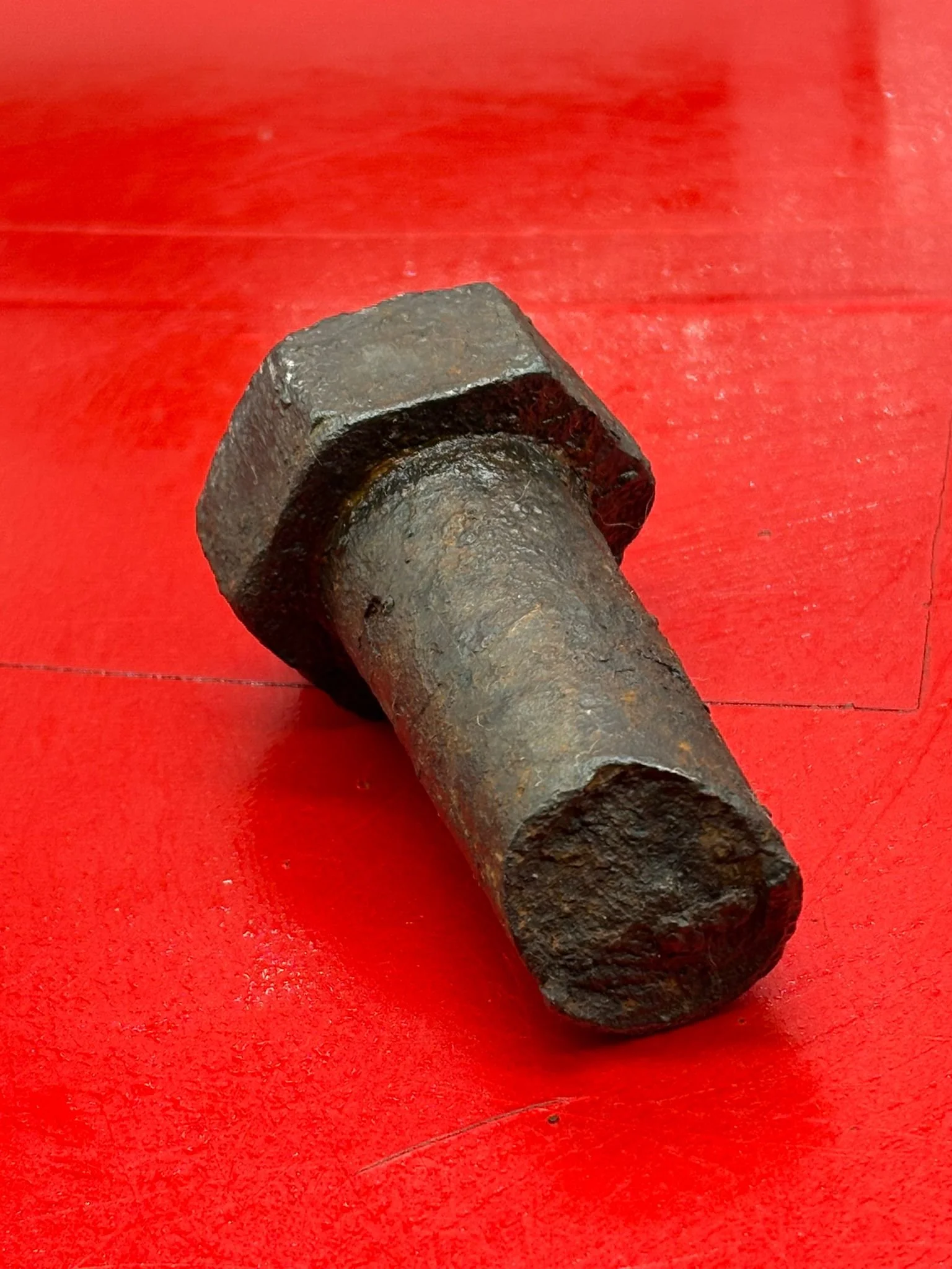 WhatsApp Image 2025-11-12 at 13.11.01 (1).jpeg