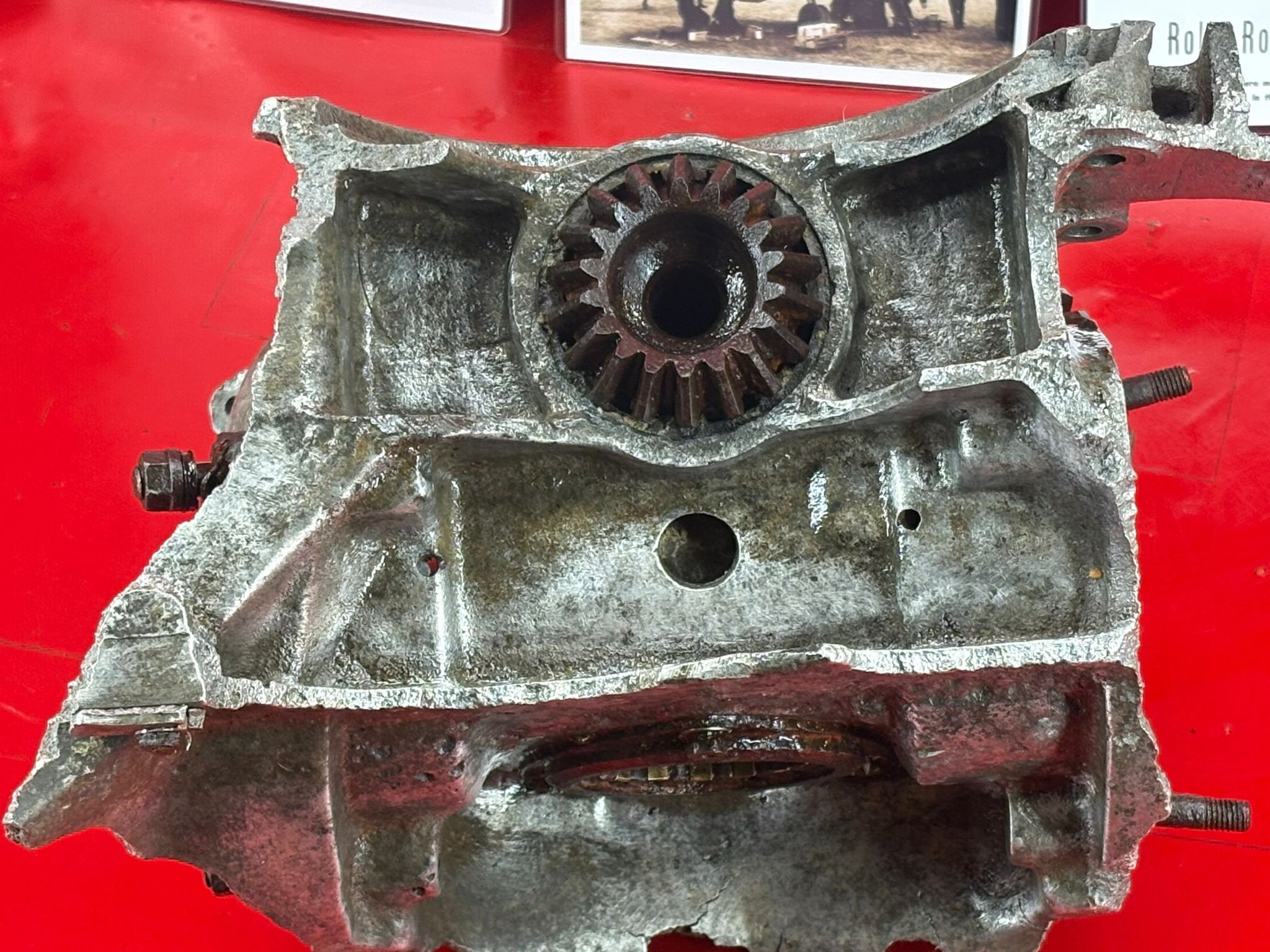 WhatsApp Image 2026-02-10 at 11.56.40 (5).jpeg