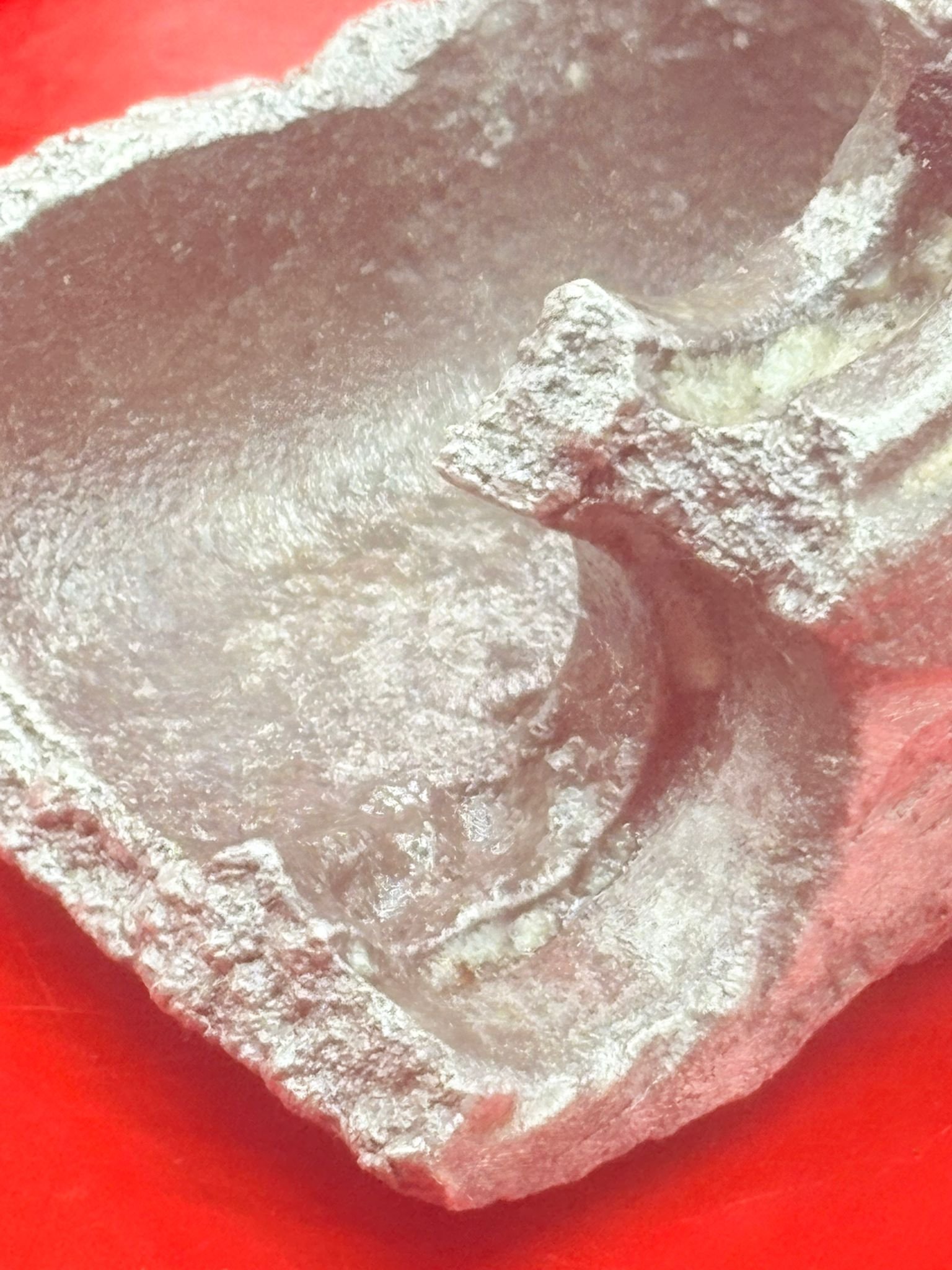 WhatsApp Image 2025-12-08 at 16.07.20 (5).jpeg