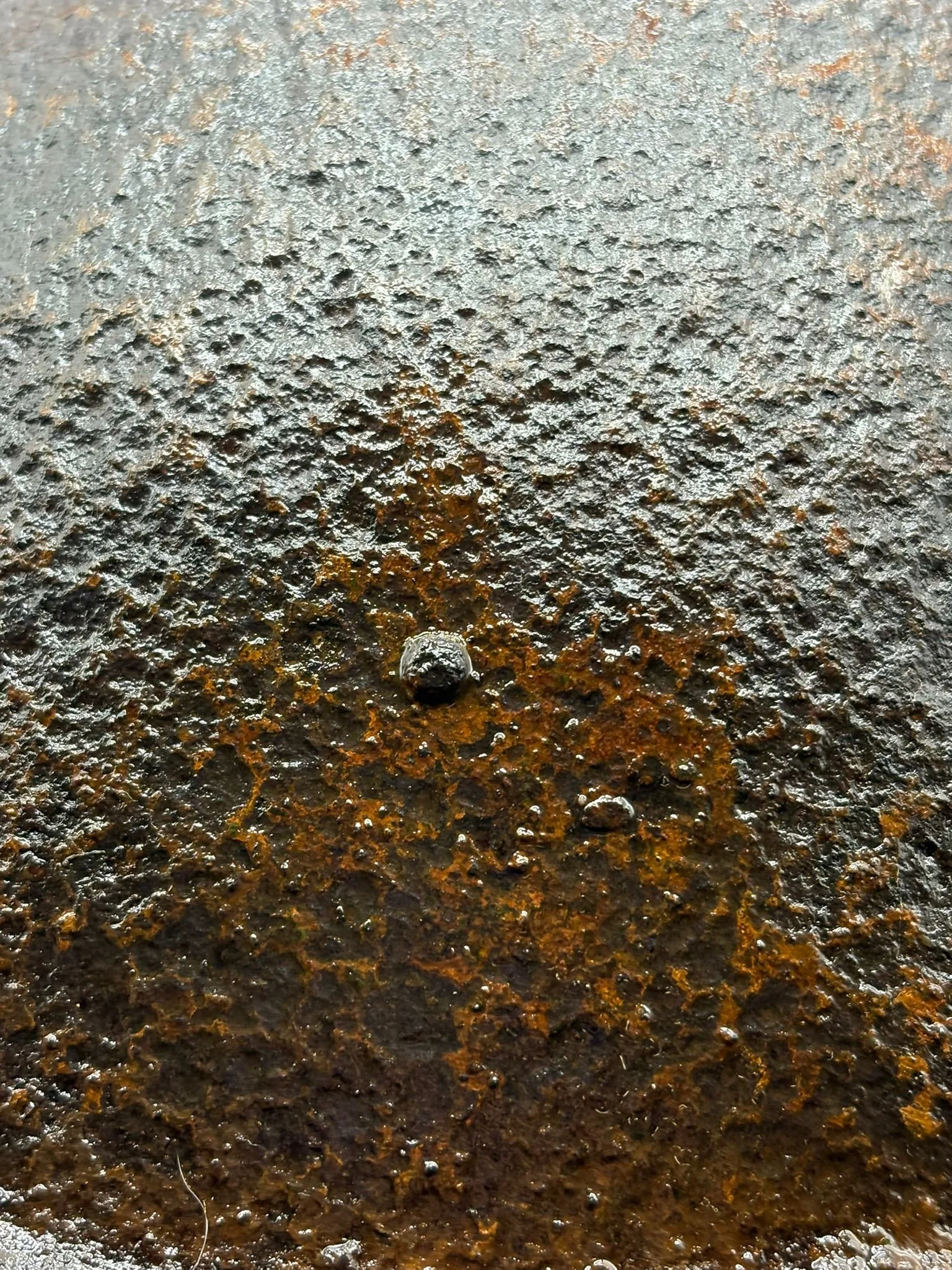 WhatsApp Image 2025-10-27 at 15.58.34 (5).jpeg