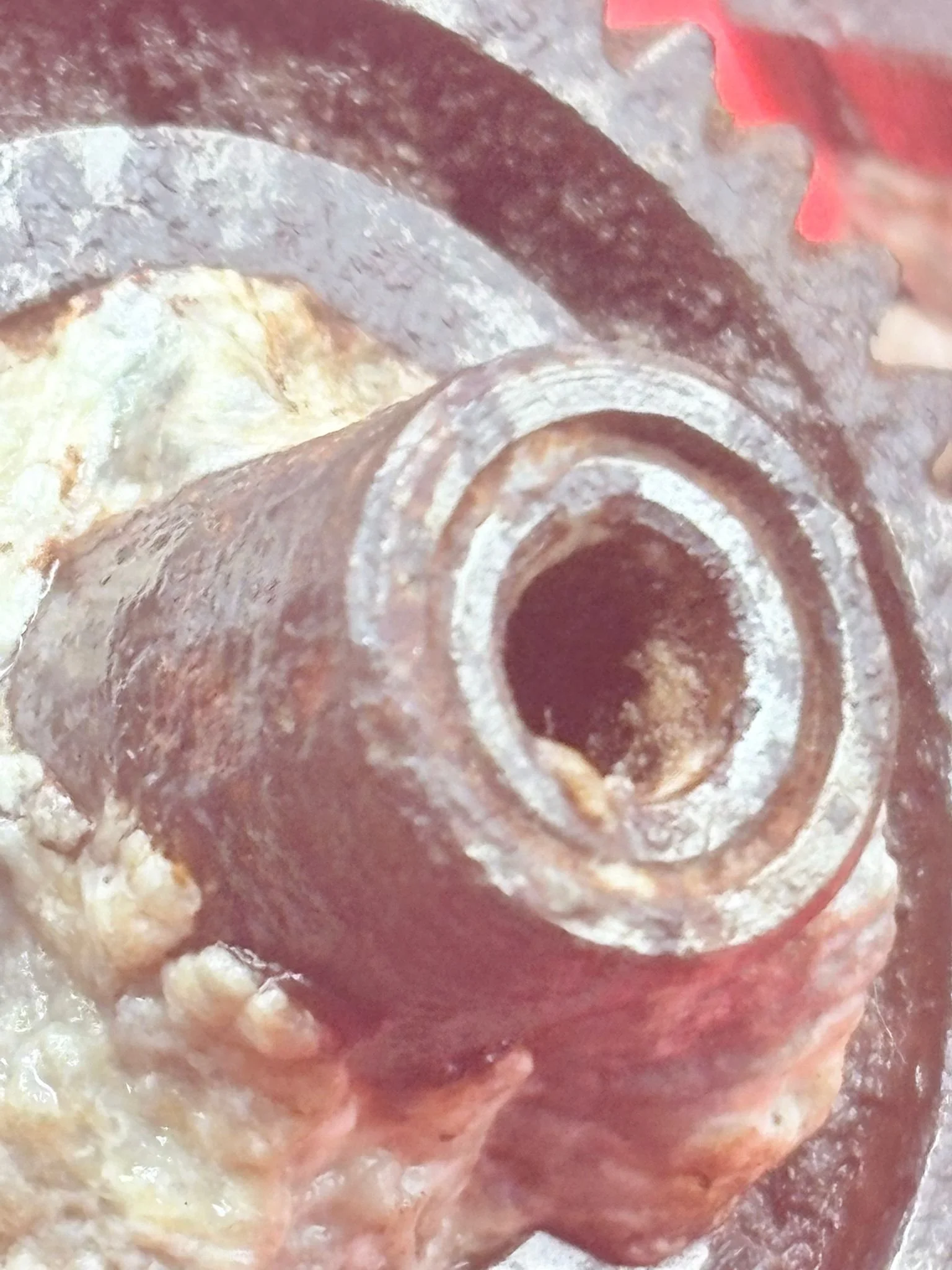 WhatsApp Image 2025-12-08 at 16.51.40 (2).jpeg