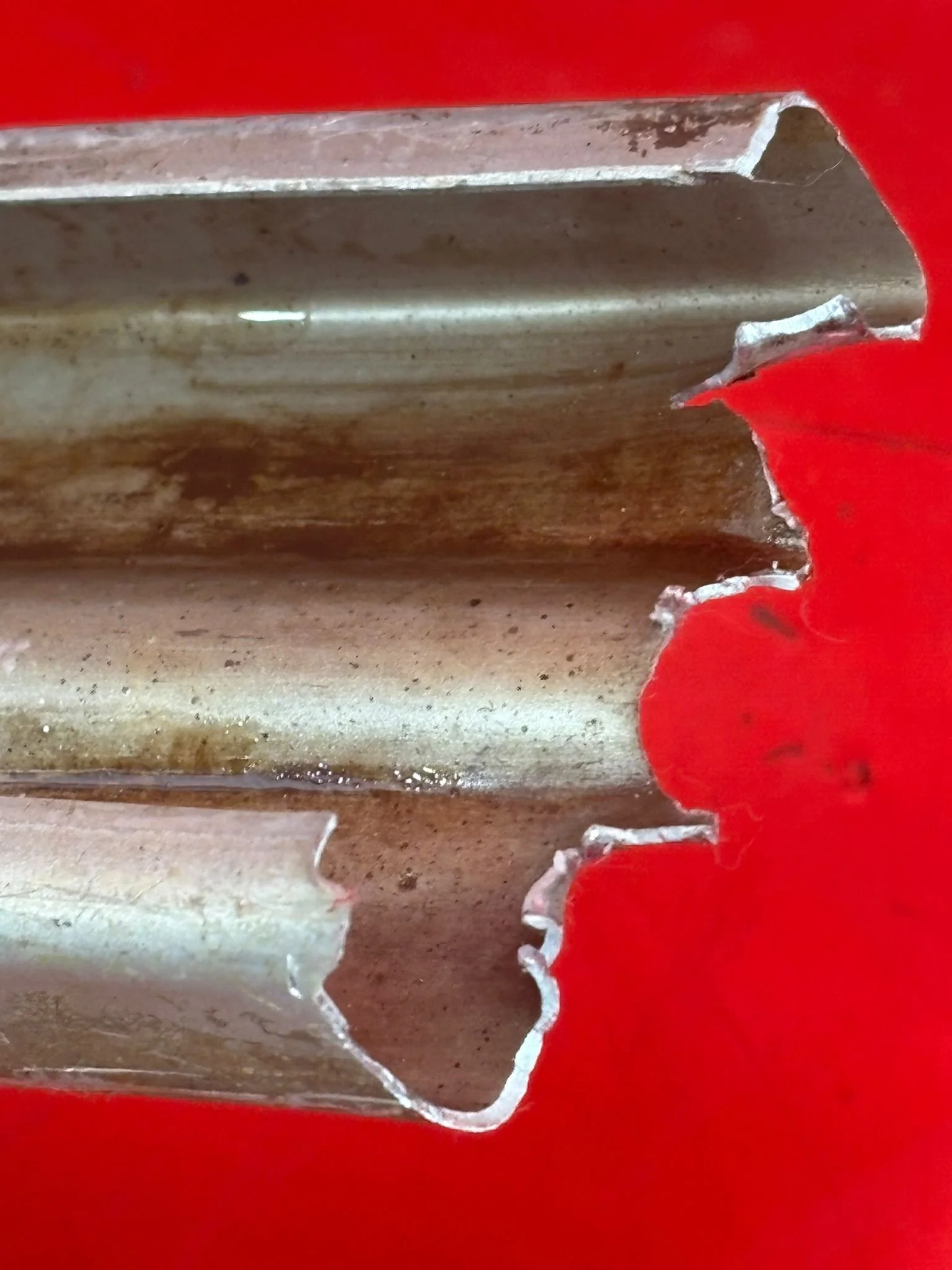 WhatsApp Image 2025-12-08 at 16.55.01 (3).jpeg