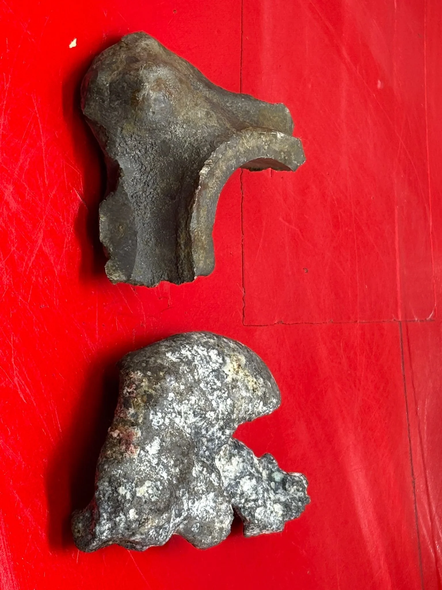 WhatsApp Image 2026-02-10 at 12.07.24 (1).jpeg