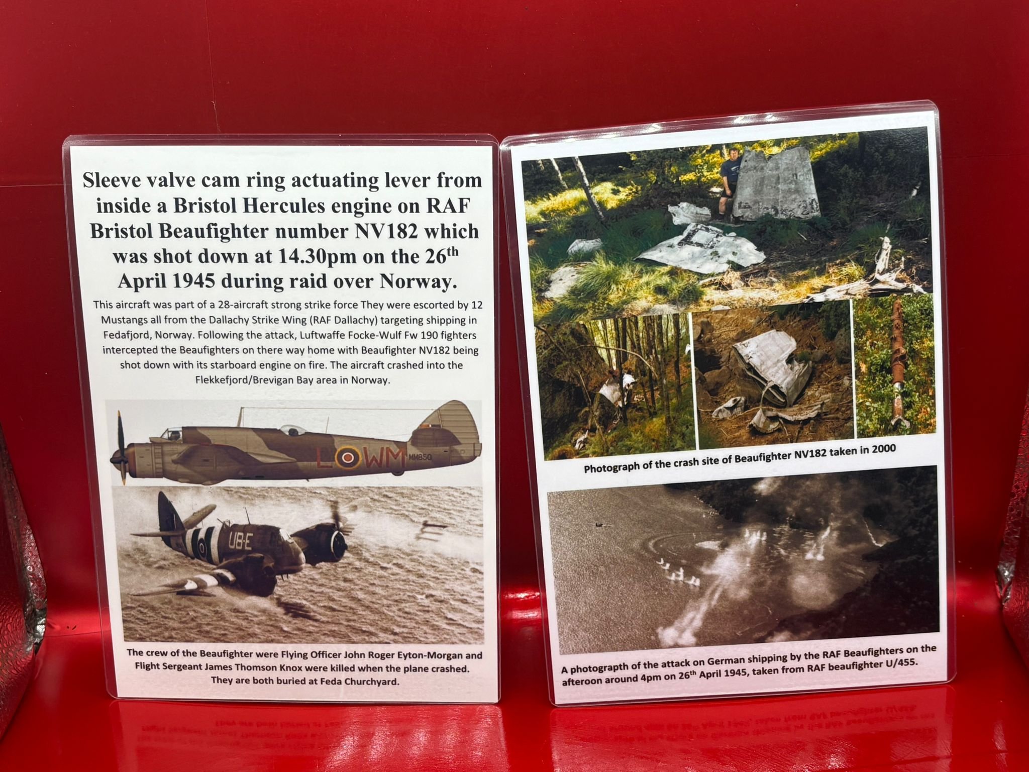 WhatsApp Image 2026-02-10 at 15.01.29.jpeg