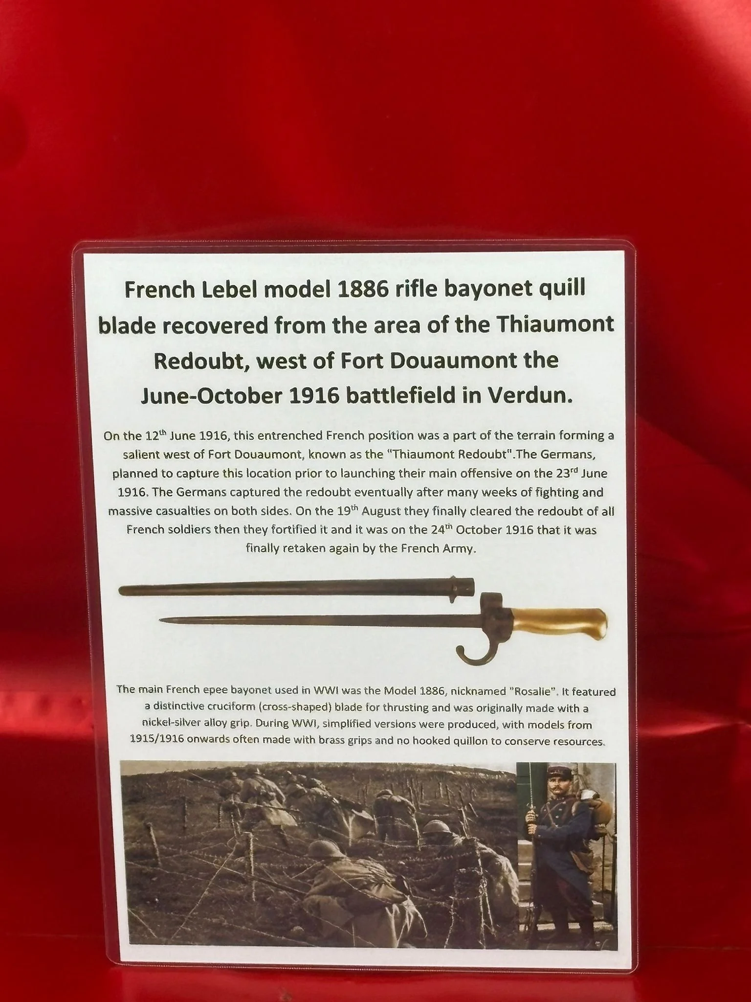 WhatsApp Image 2025-11-16 at 16.04.36.jpeg