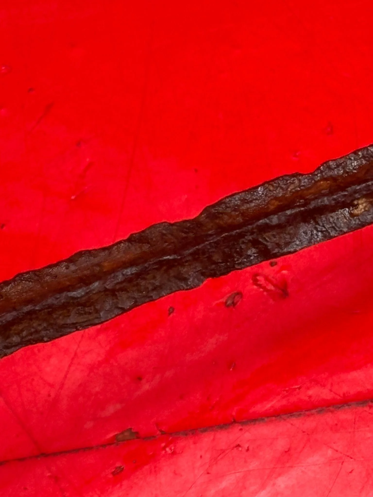 WhatsApp Image 2025-11-16 at 16.04.35 (2).jpeg