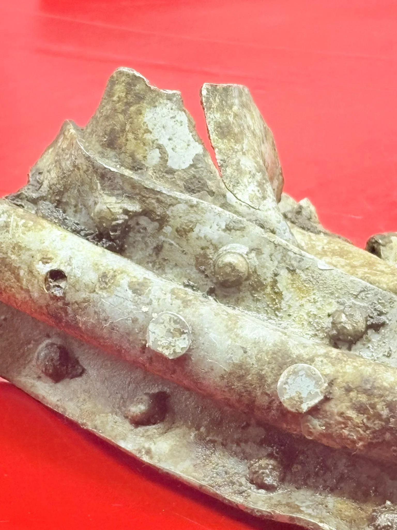 WhatsApp Image 2025-12-08 at 15.42.52 (3).jpeg