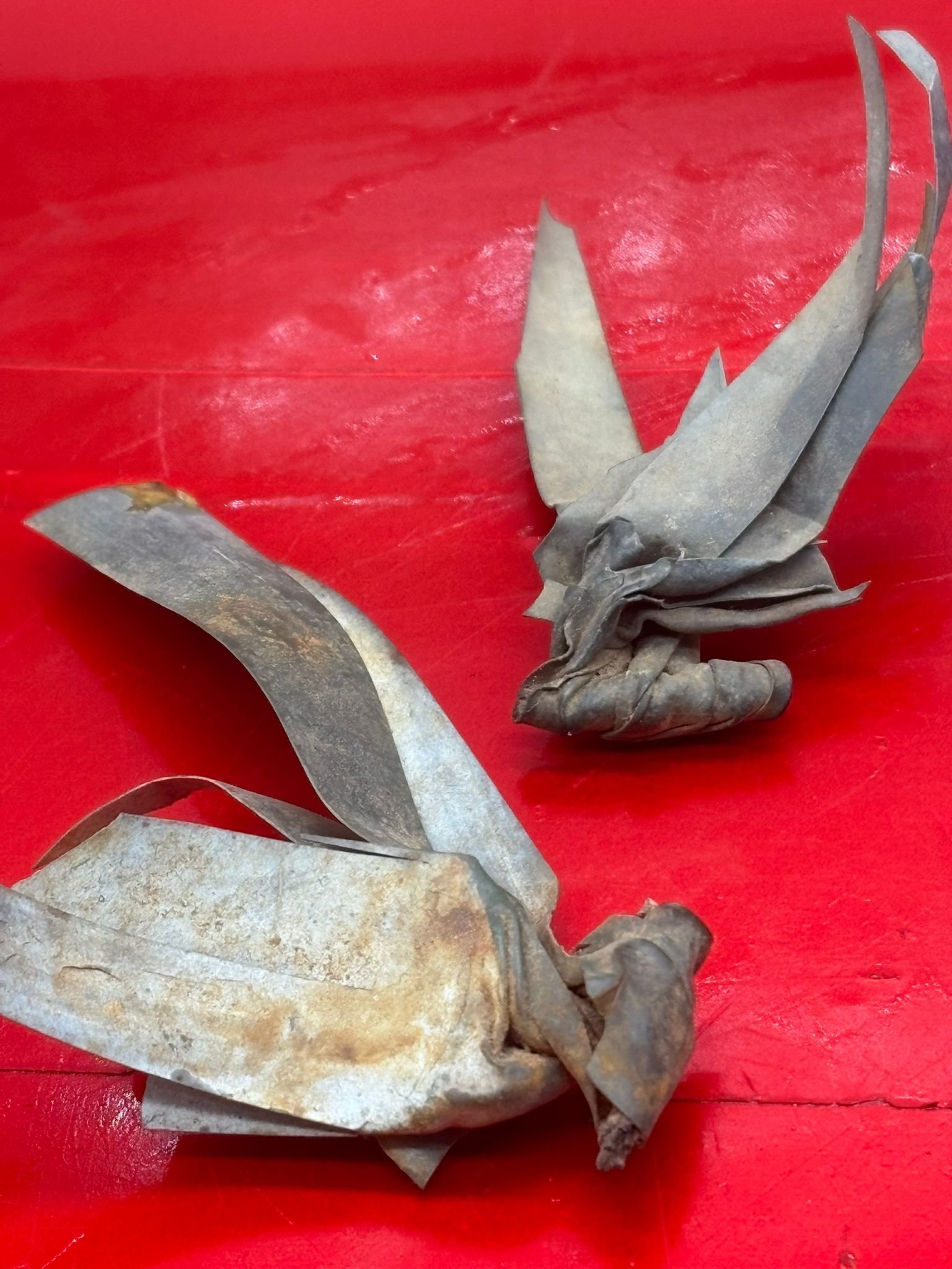 WhatsApp Image 2025-11-20 at 18.56.41 (1).jpeg