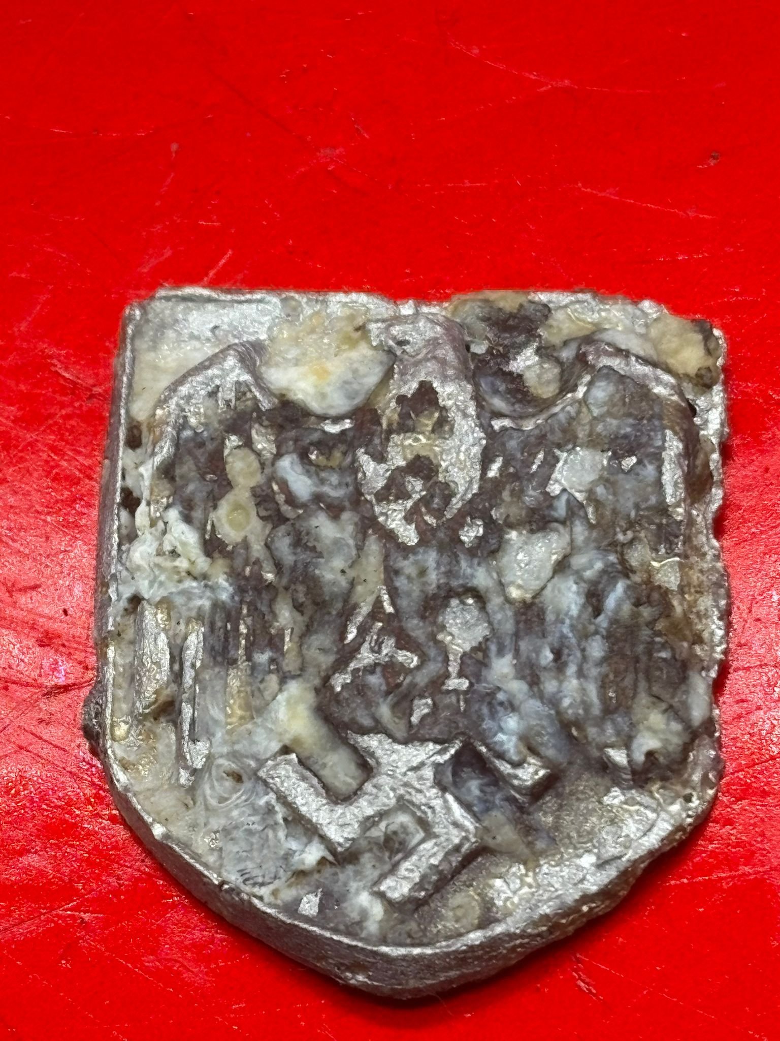 WhatsApp Image 2025-11-20 at 19.07.56 (1).jpeg