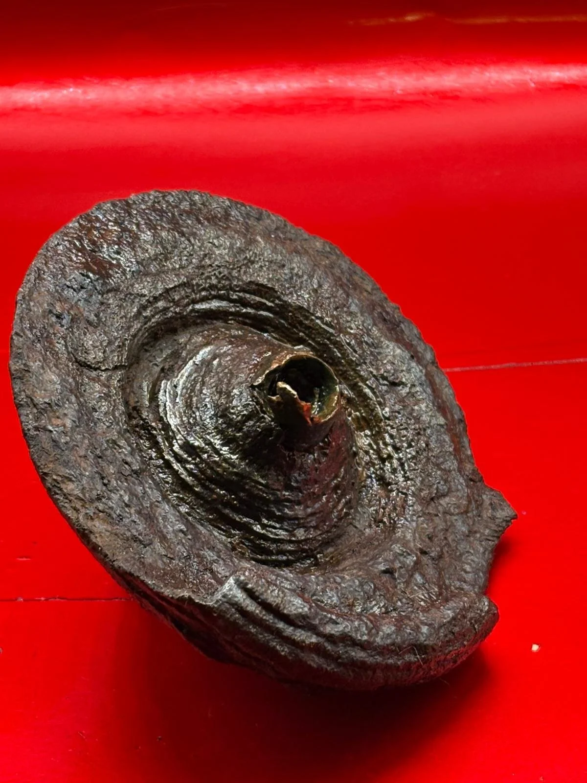 WhatsApp Image 2025-10-22 at 15.03.45.jpeg