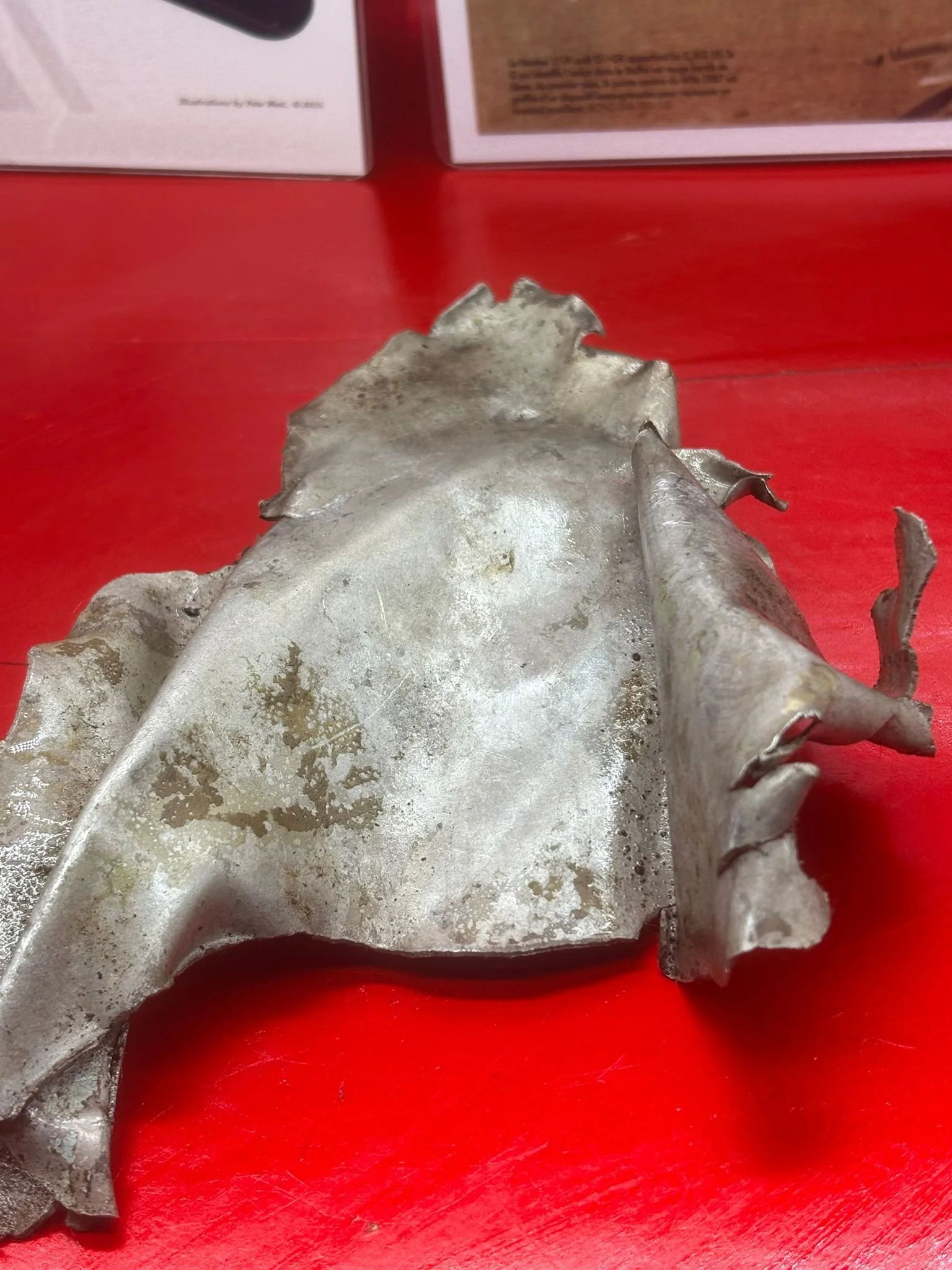 WhatsApp Image 2026-02-13 at 16.24.51 (2).jpeg