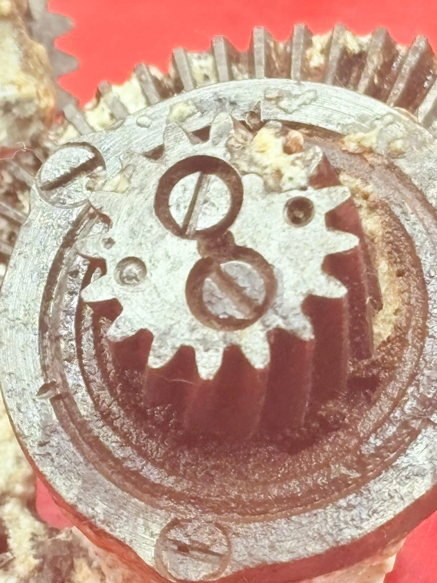 WhatsApp Image 2025-12-08 at 16.51.39 (3).jpeg