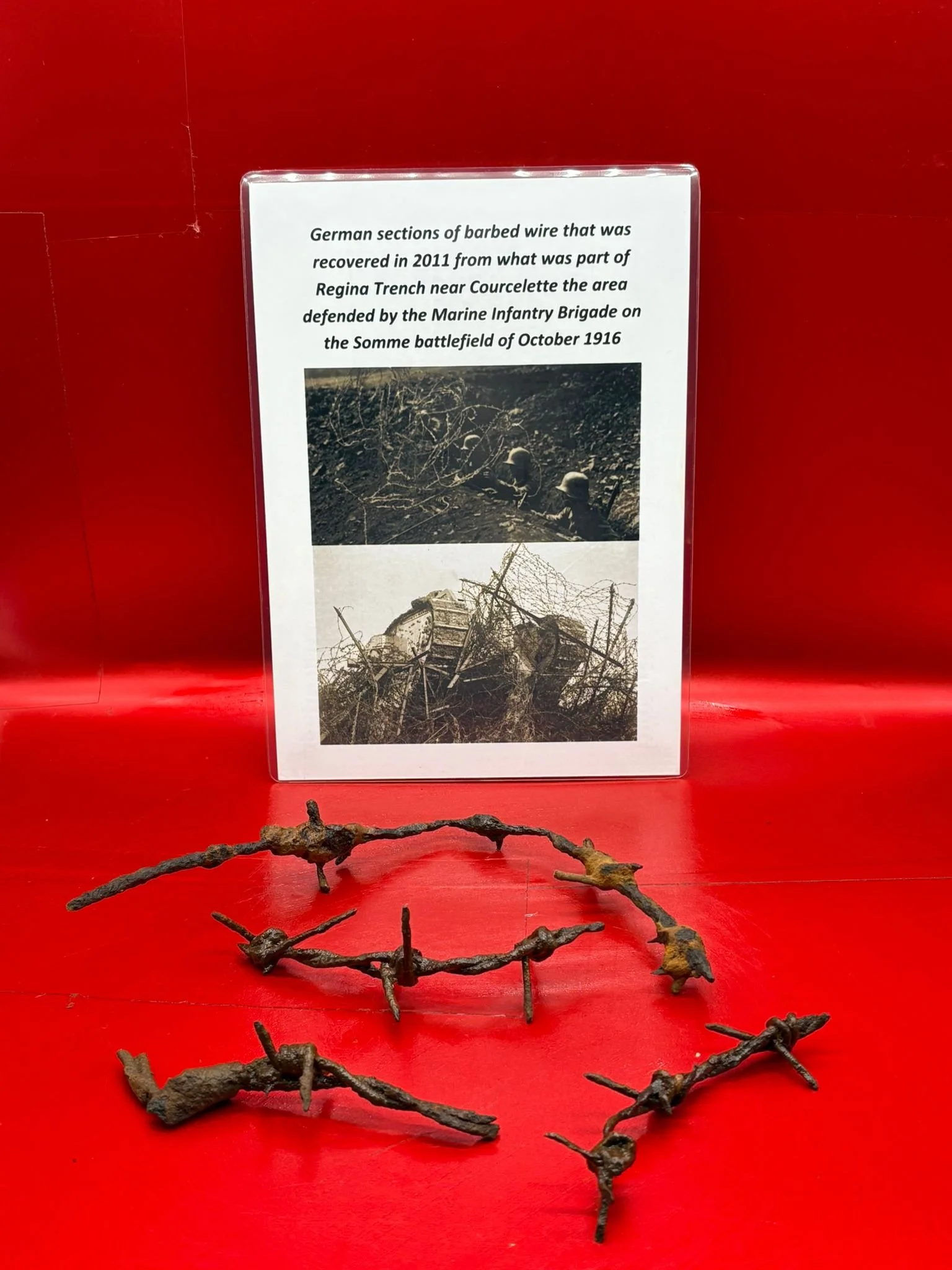 WhatsApp Image 2025-11-12 at 13.17.10.jpeg