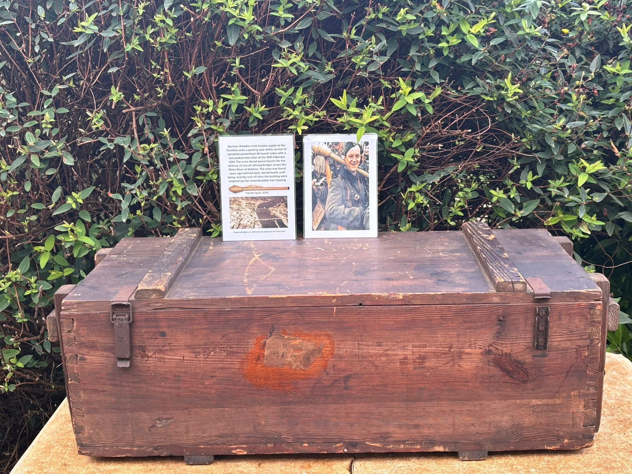 WhatsApp Image 2025-11-18 at 12.29.27.jpeg