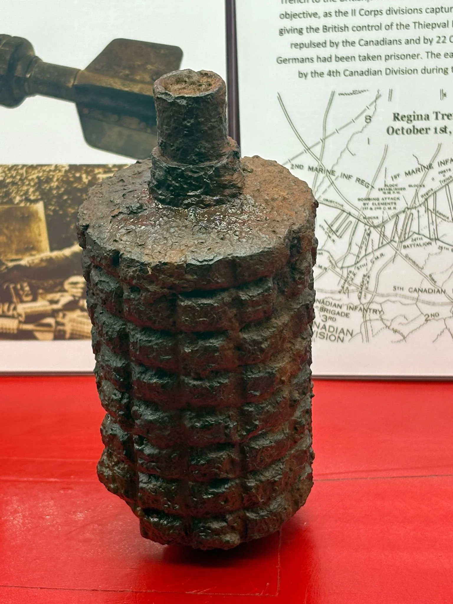 WhatsApp Image 2025-11-12 at 15.05.00 (1).jpeg