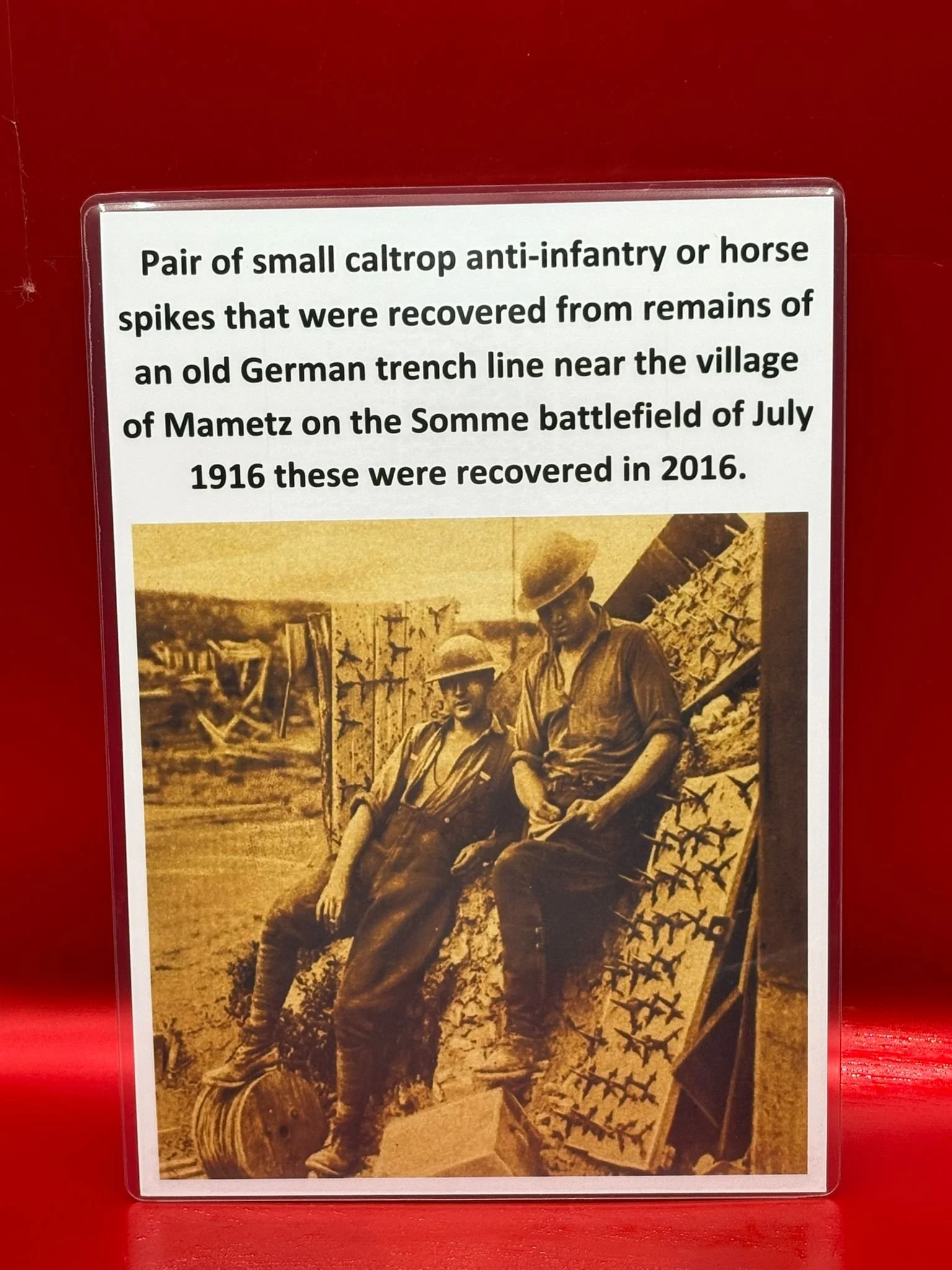 WhatsApp Image 2025-11-12 at 13.14.40.jpeg