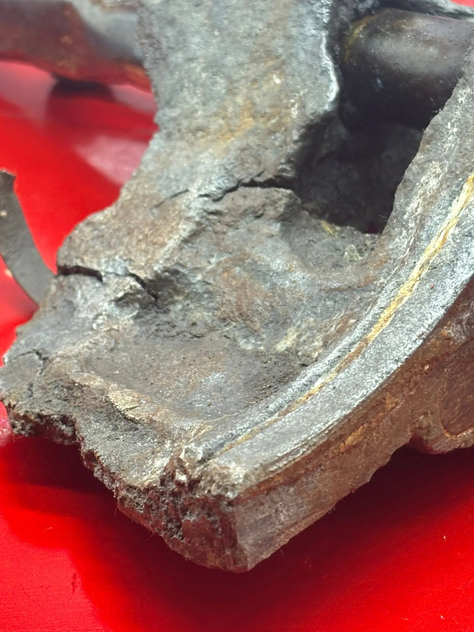 WhatsApp Image 2026-03-12 at 15.18.37 (1).jpeg