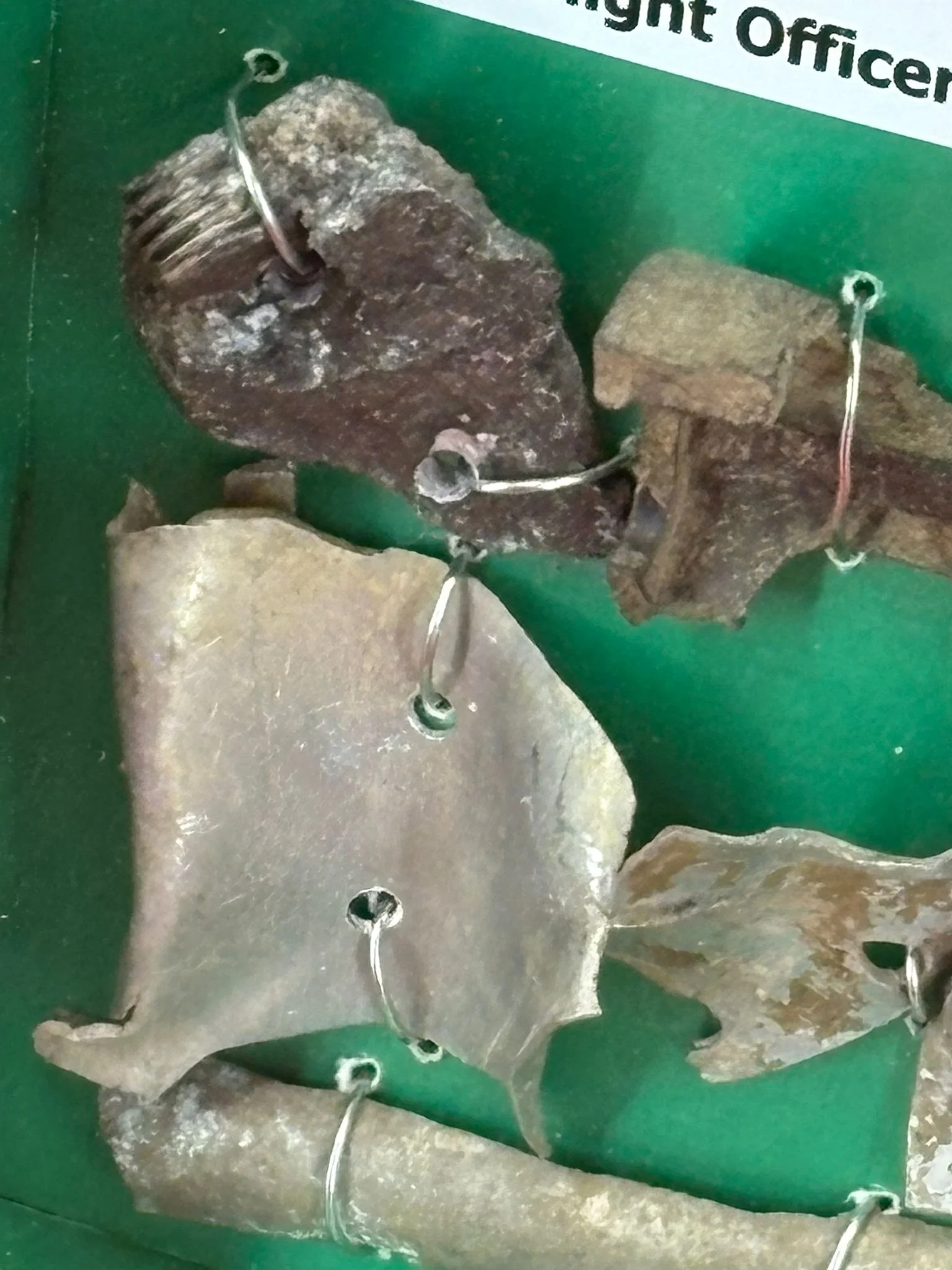 WhatsApp Image 2026-03-11 at 12.57.19 (1).jpeg