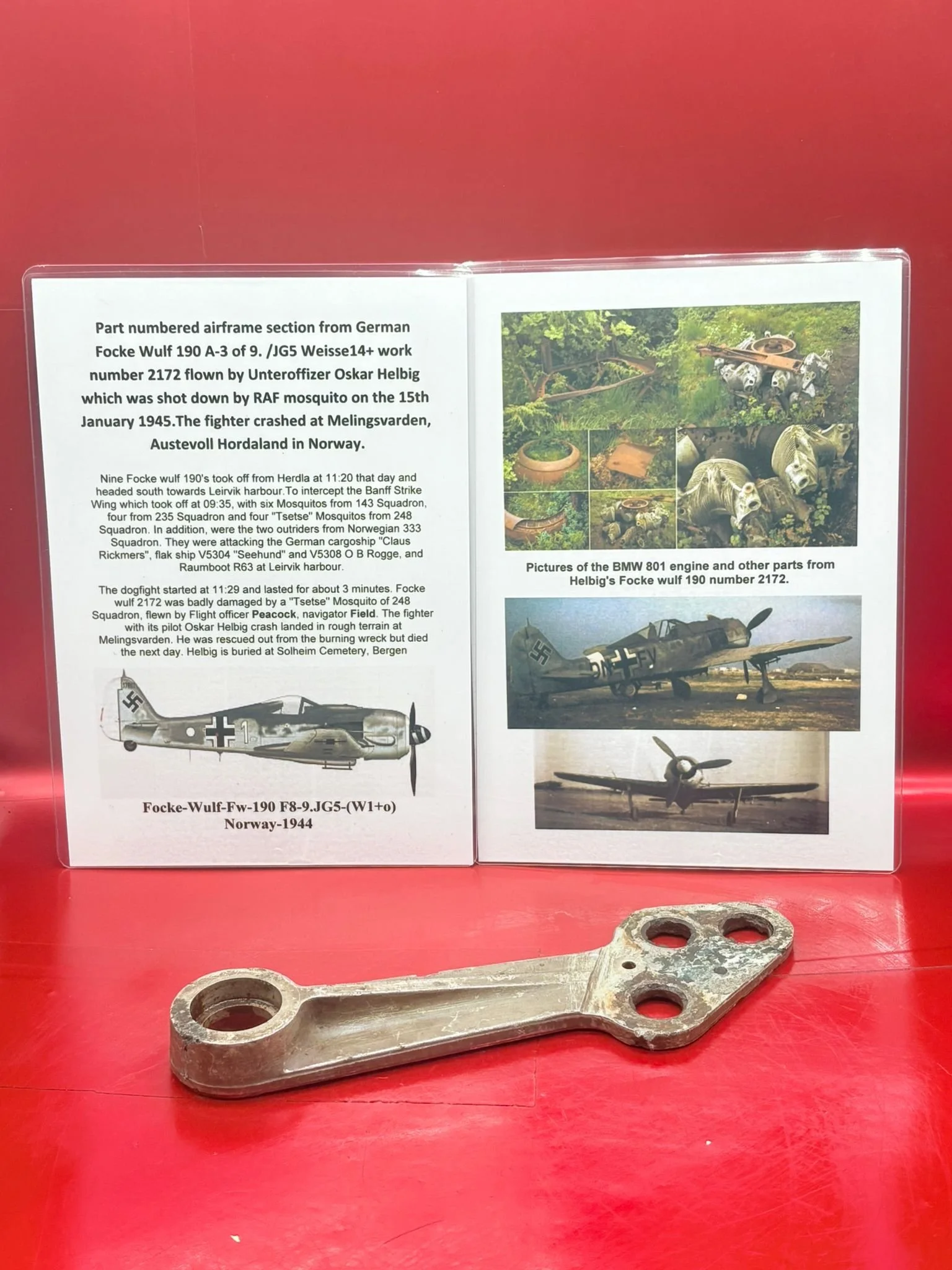 WhatsApp Image 2025-12-08 at 16.46.38.jpeg