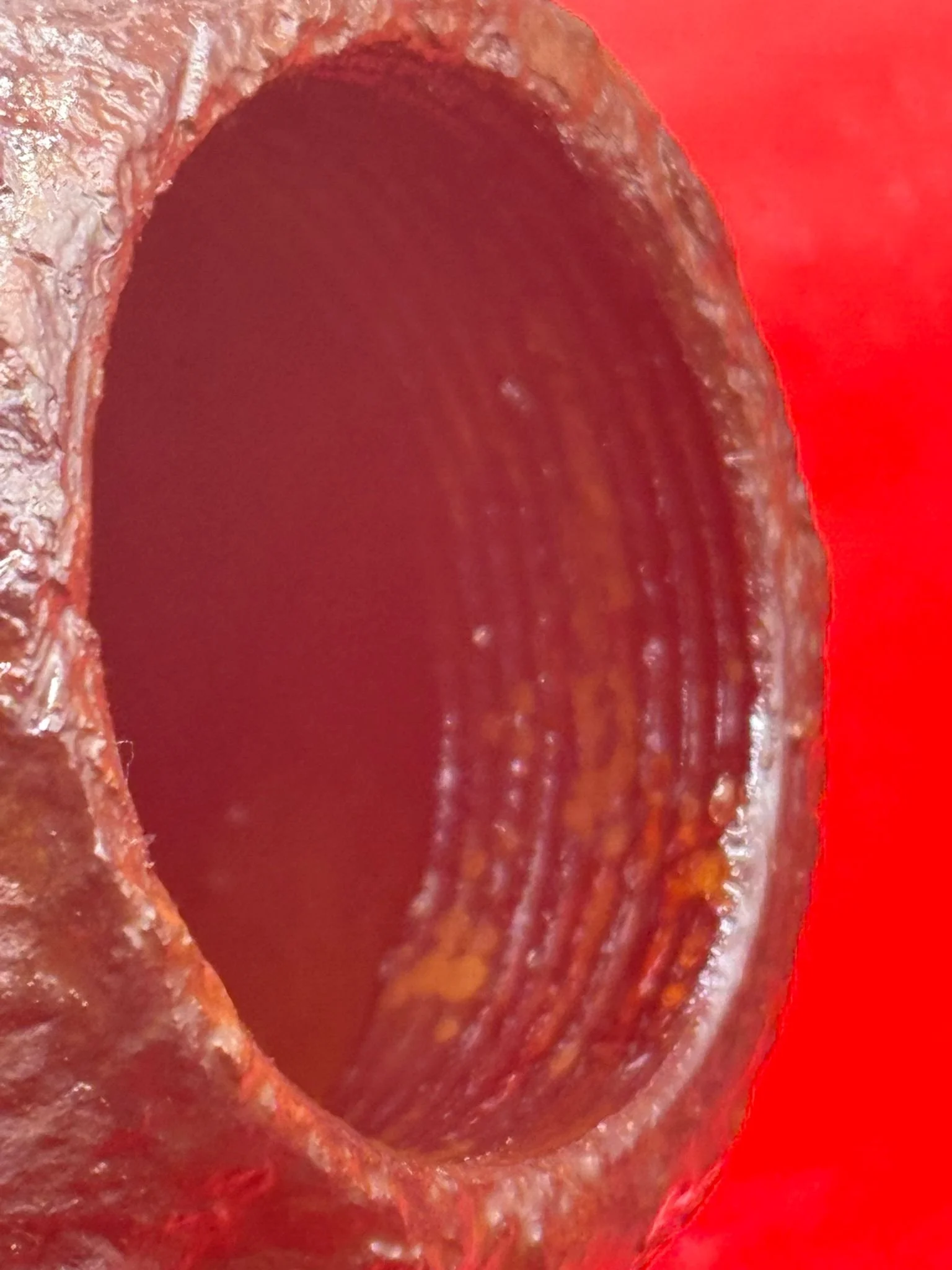 WhatsApp Image 2025-11-16 at 15.57.26.jpeg