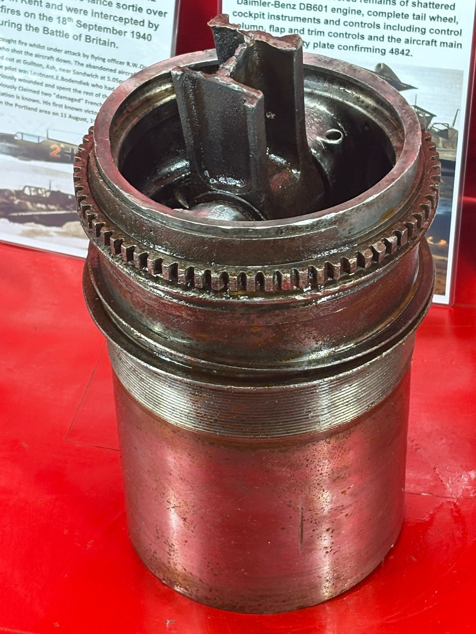 WhatsApp Image 2026-02-10 at 11.55.18 (2).jpeg