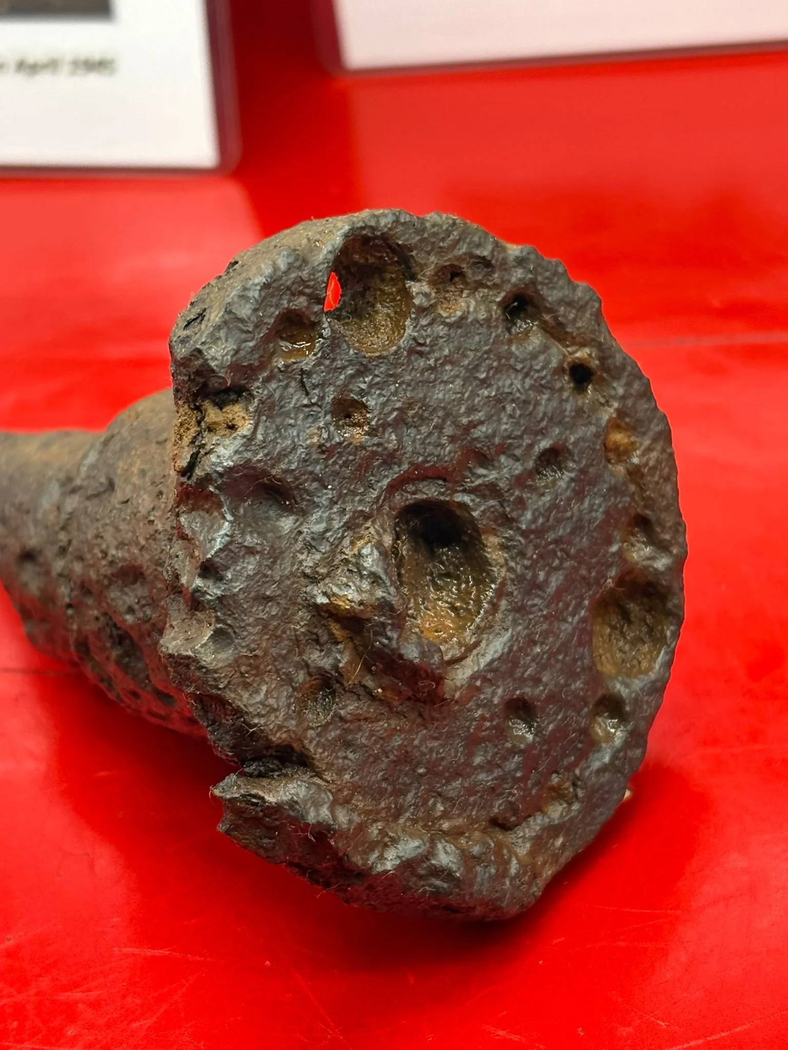 WhatsApp Image 2025-11-24 at 17.39.49 (2).jpeg