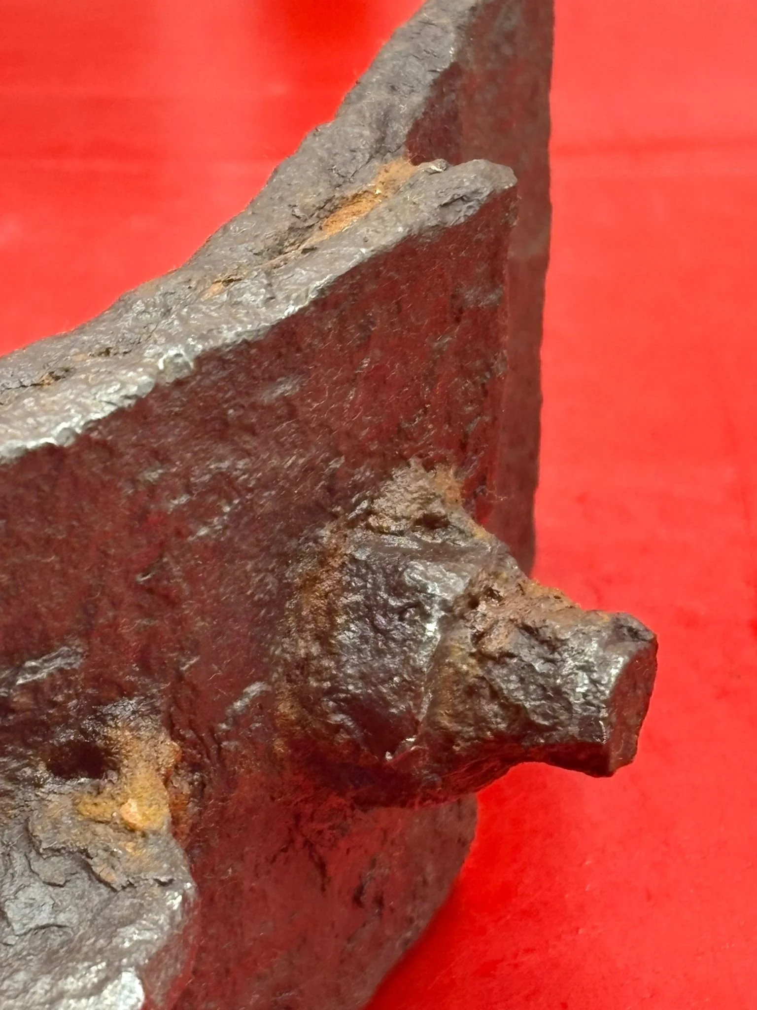 WhatsApp Image 2025-11-20 at 18.49.36 (4).jpeg