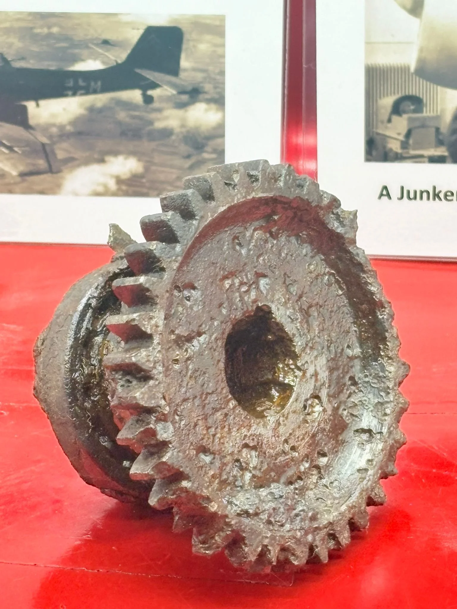 WhatsApp Image 2025-12-08 at 16.04.08 (1).jpeg