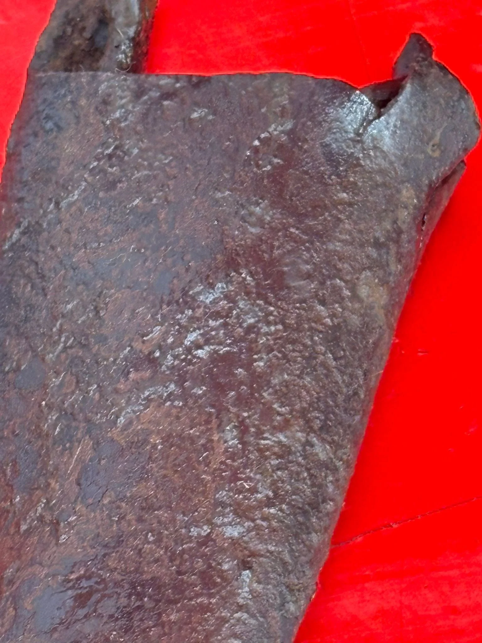 WhatsApp Image 2025-10-27 at 15.24.23.jpeg