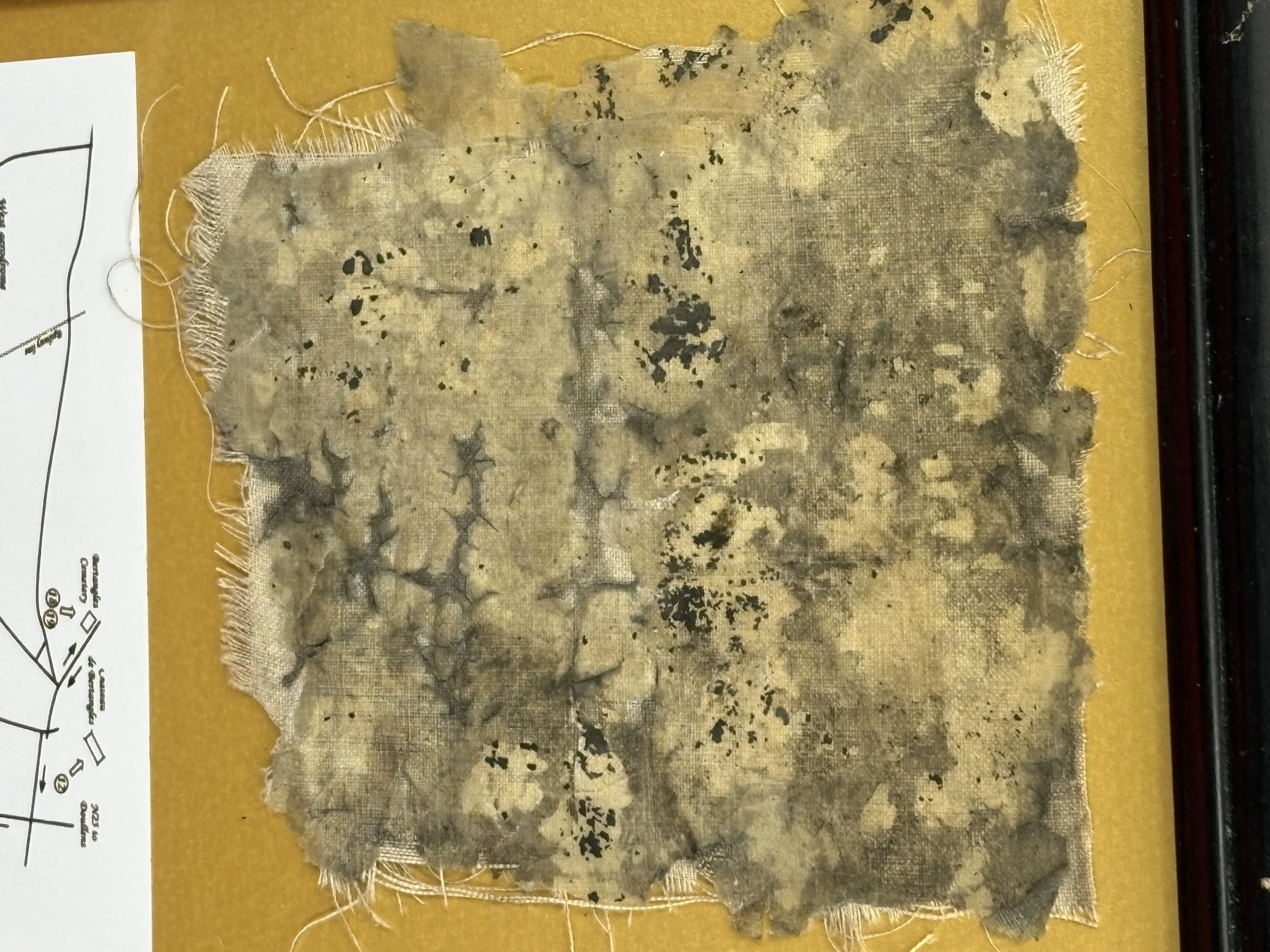 189.JPG