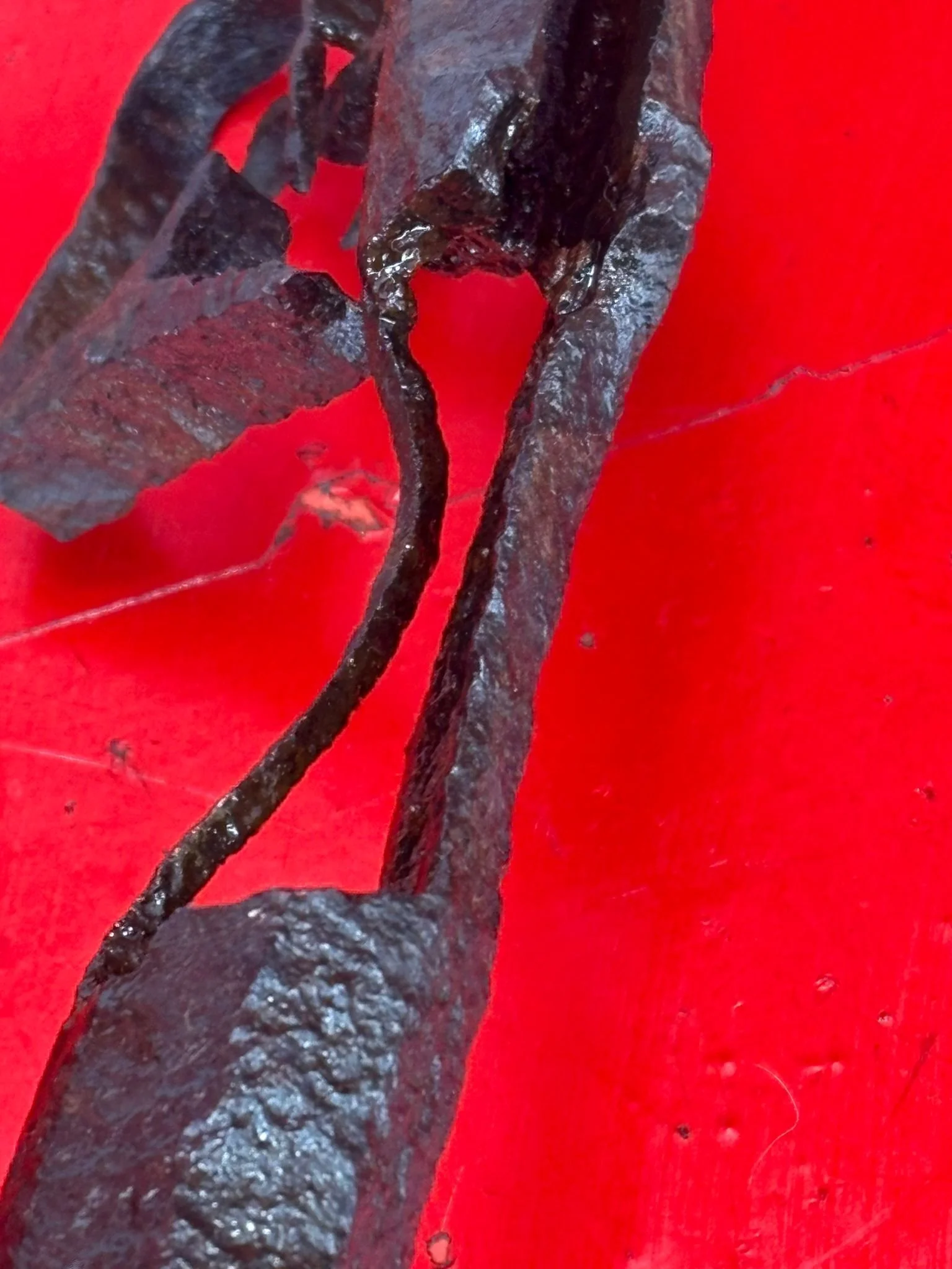 WhatsApp Image 2025-10-24 at 16.02.27 (5).jpeg