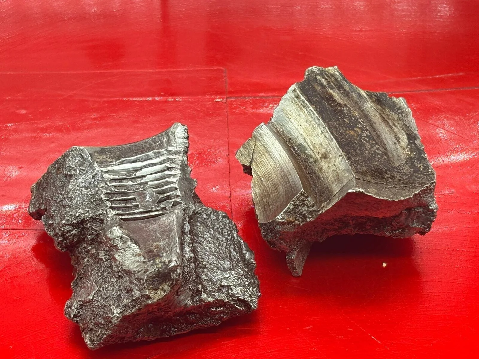 WhatsApp Image 2025-12-09 at 14.14.08 (2).jpeg